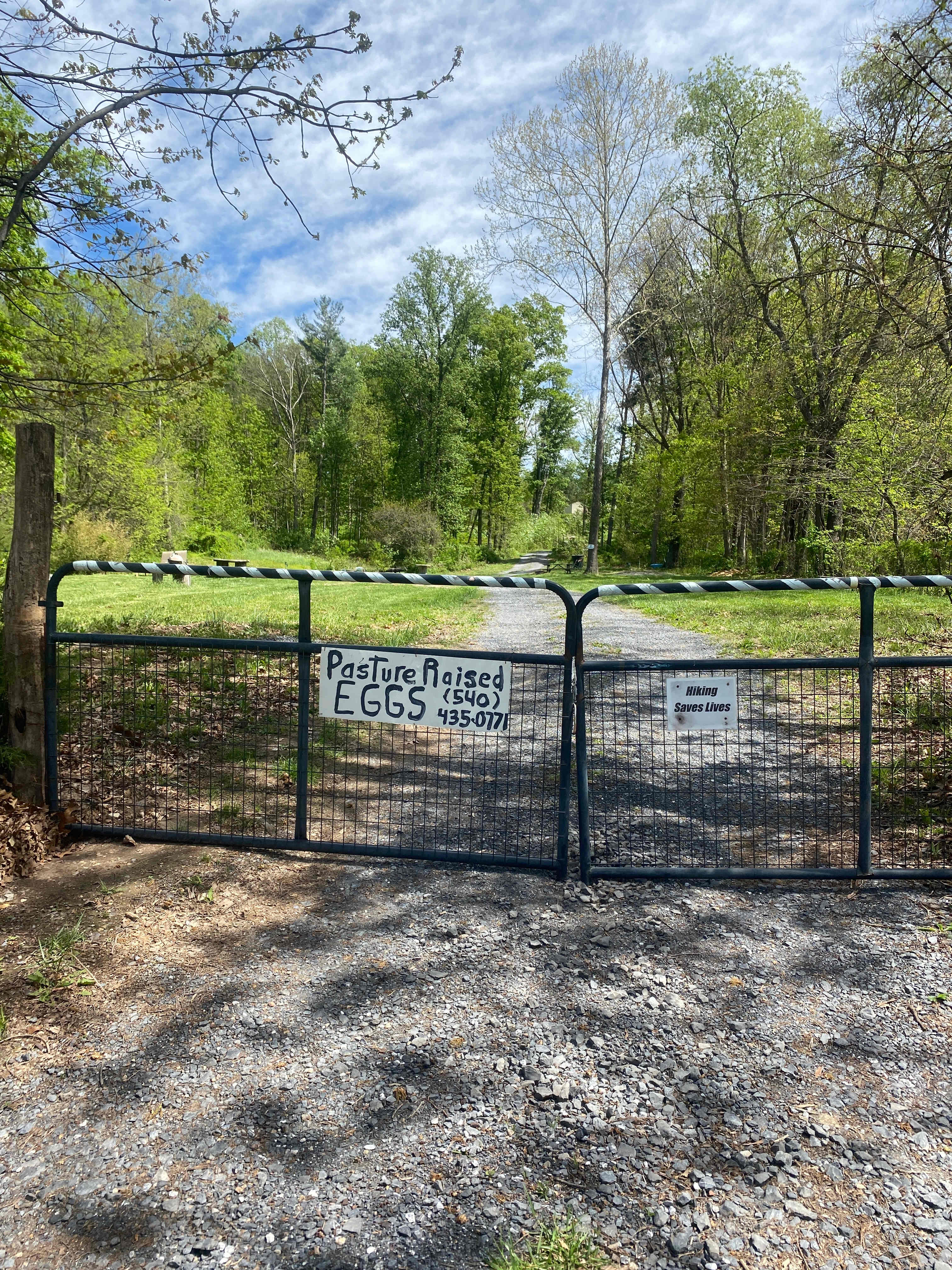 Picture of the site
