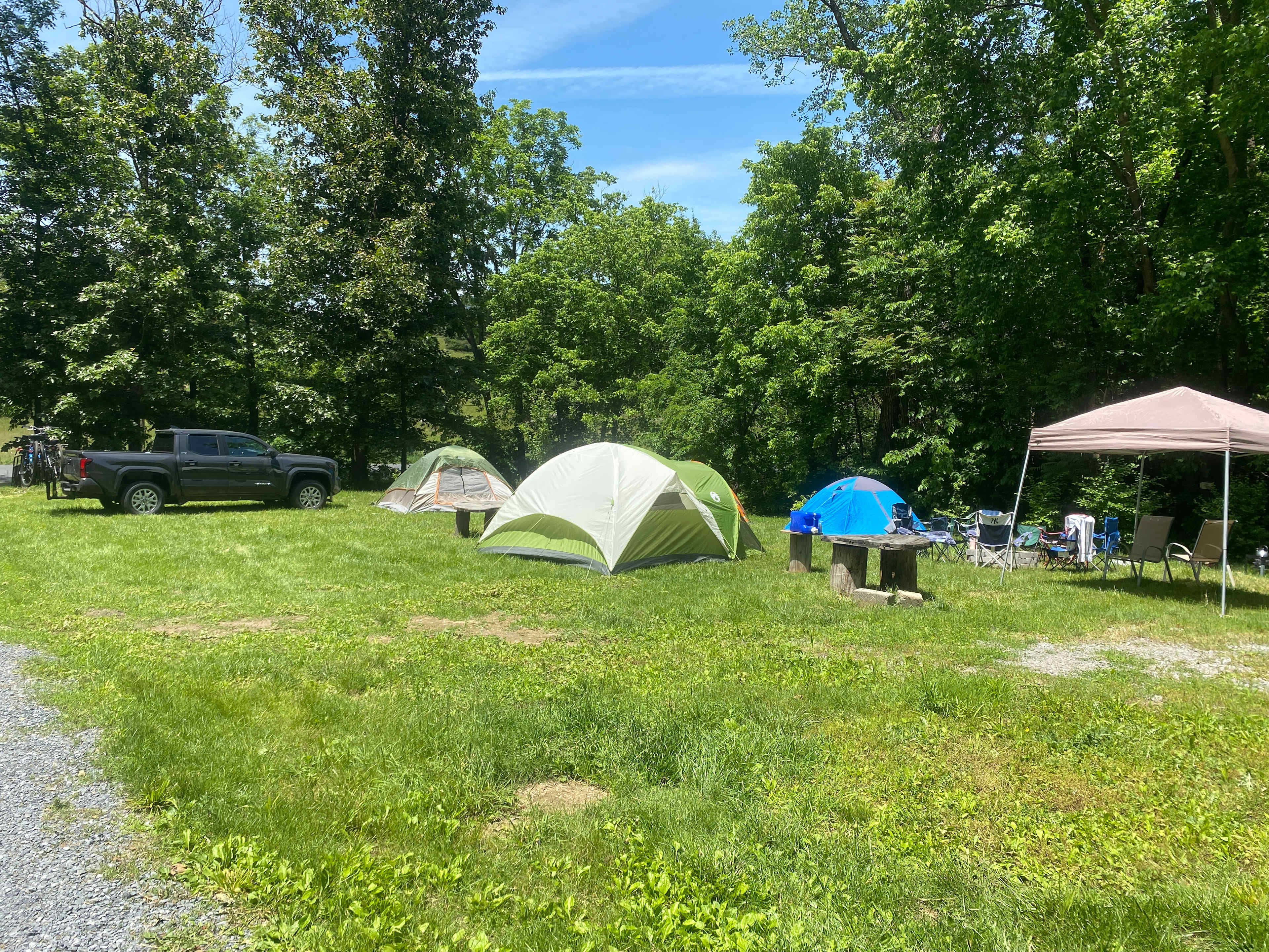 Picture of the site