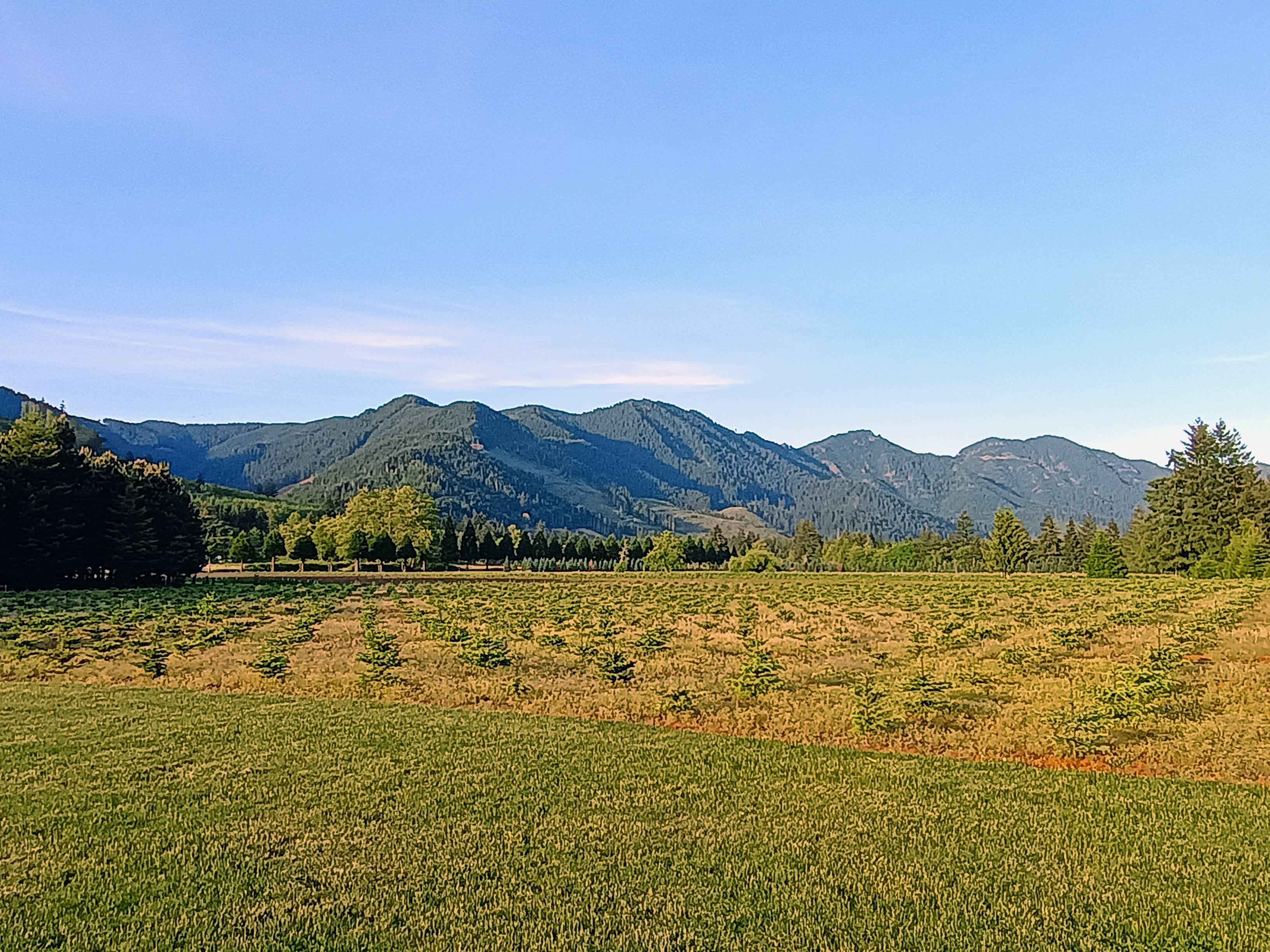 The Arboretum at Bear Canyon West