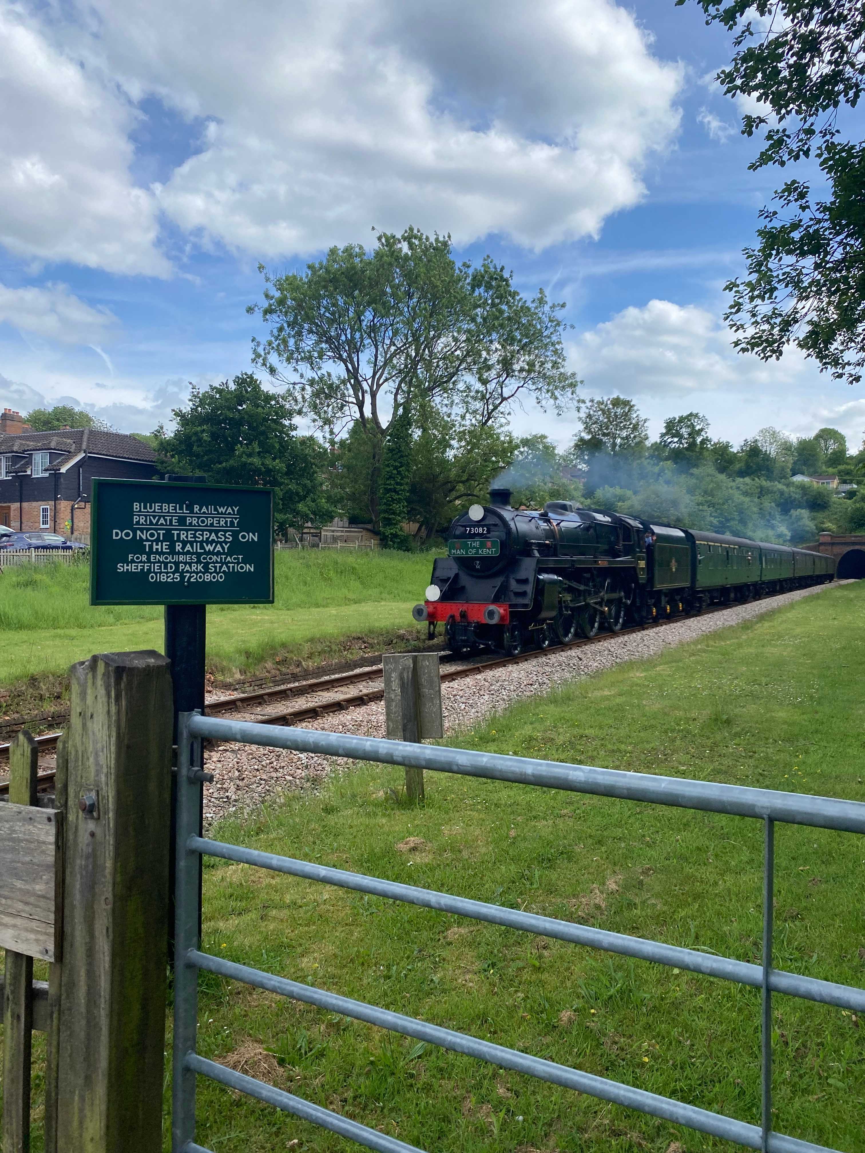 Bluebell railway