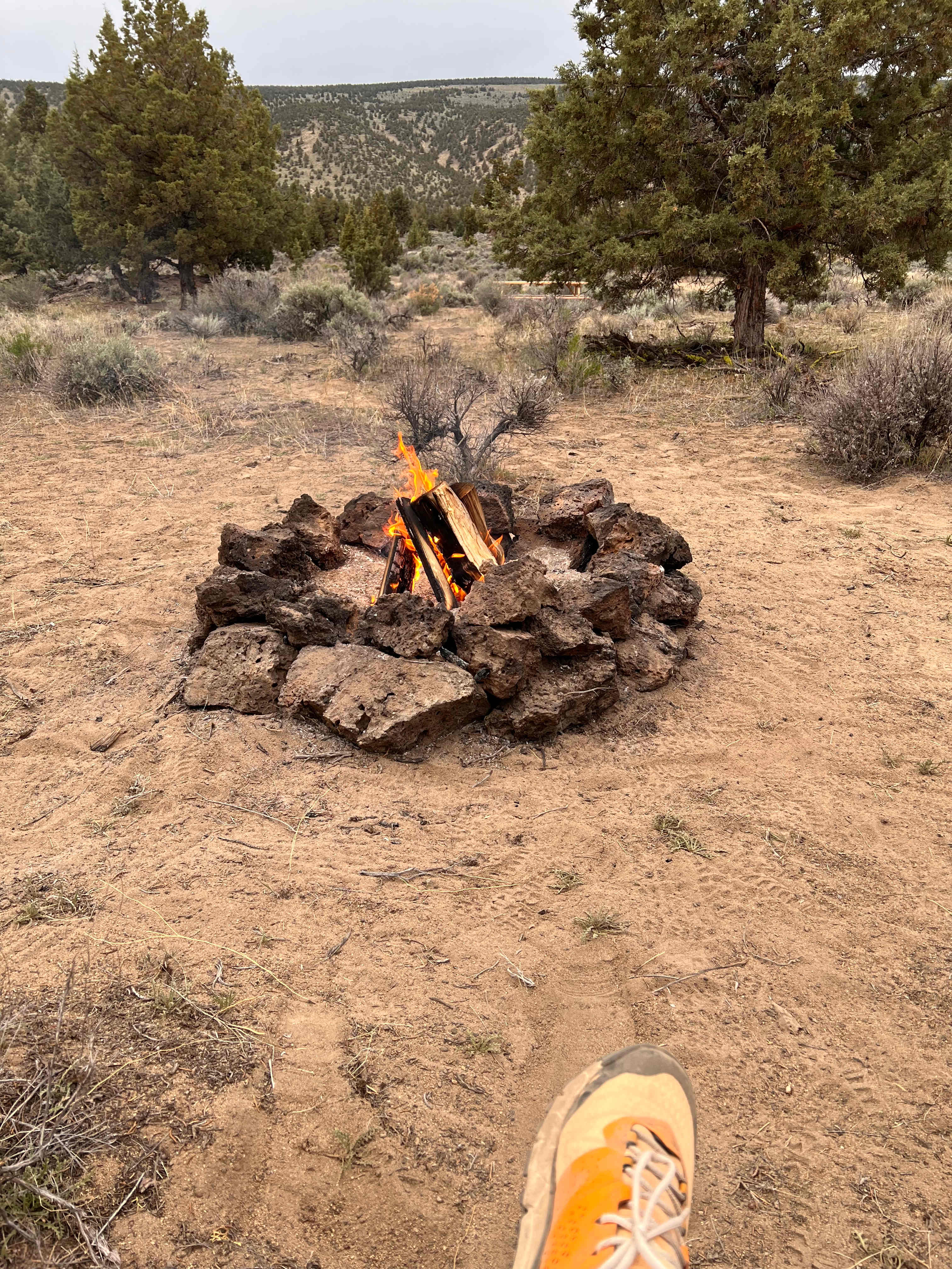 Picture of the site