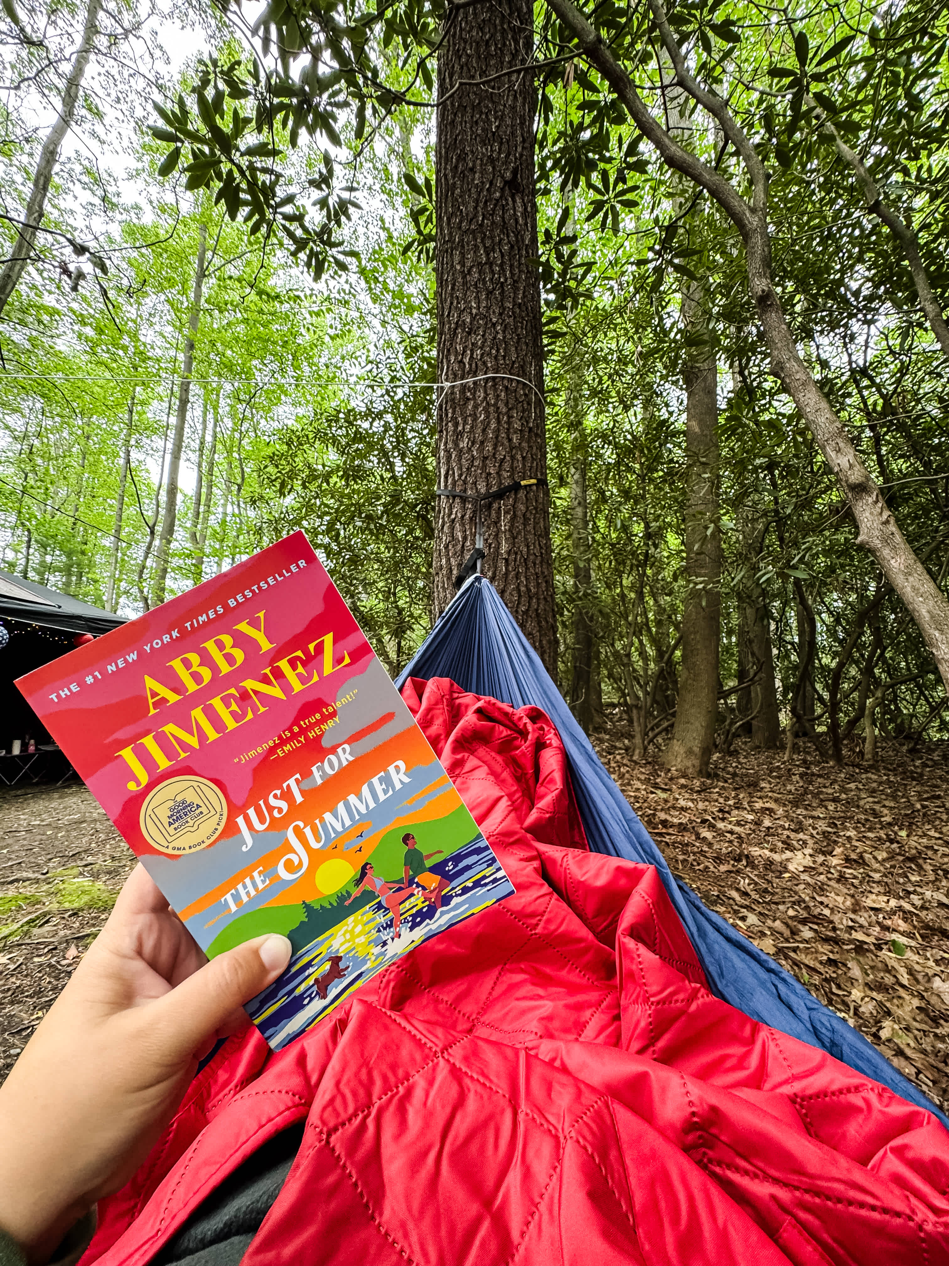 Bald Eagle Campsite