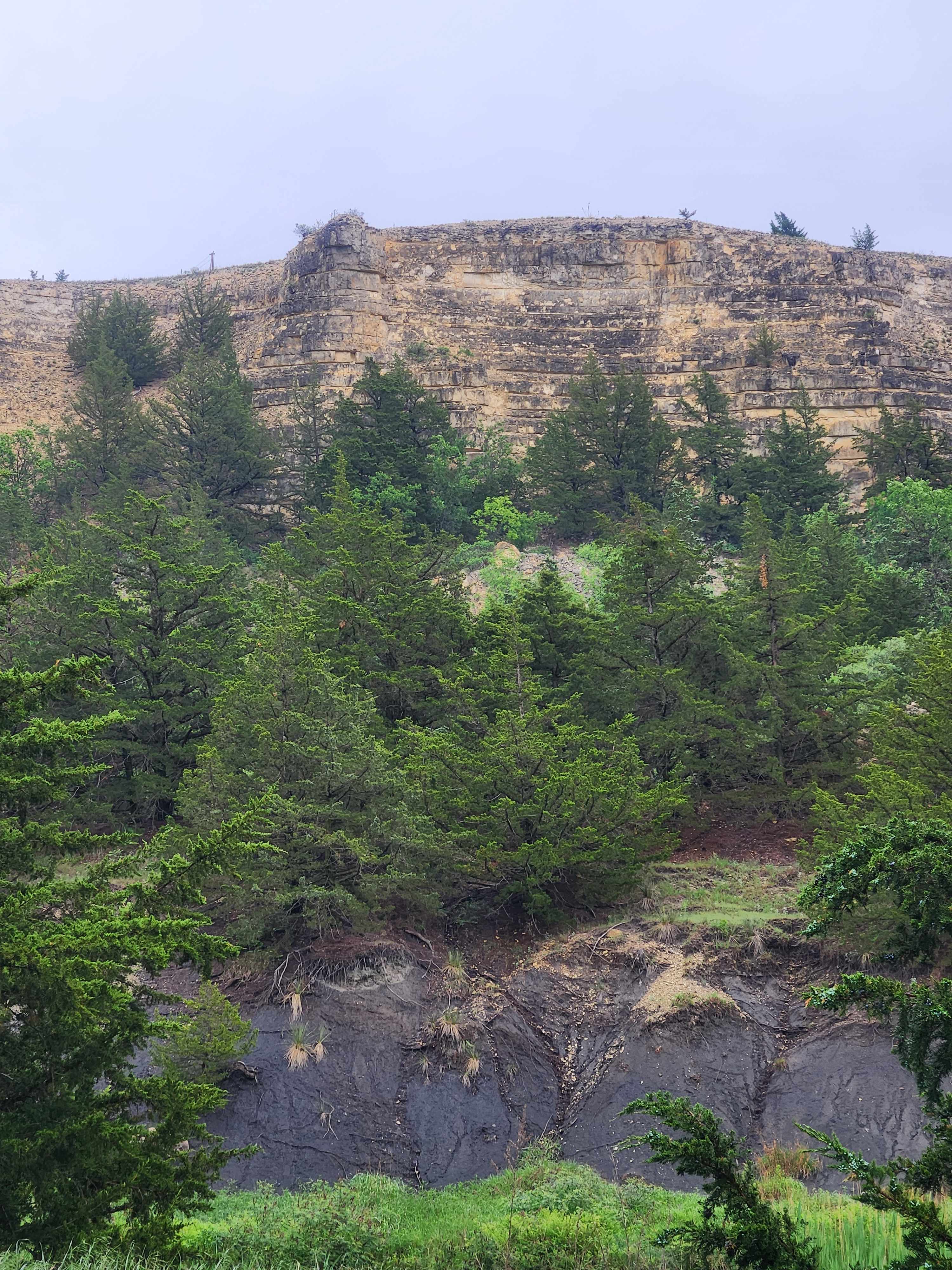C2T Ranch on the Saline River