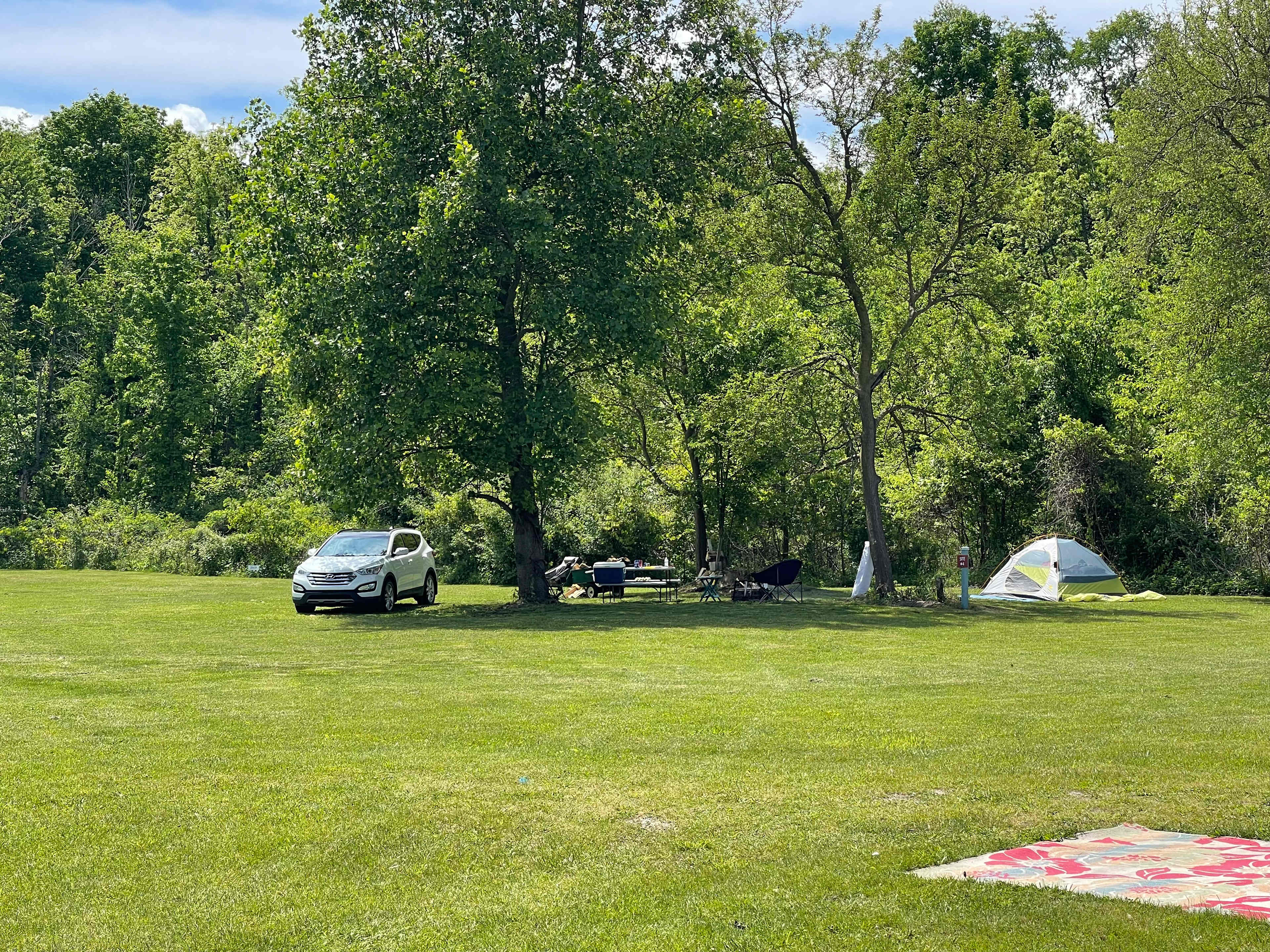 Site 4