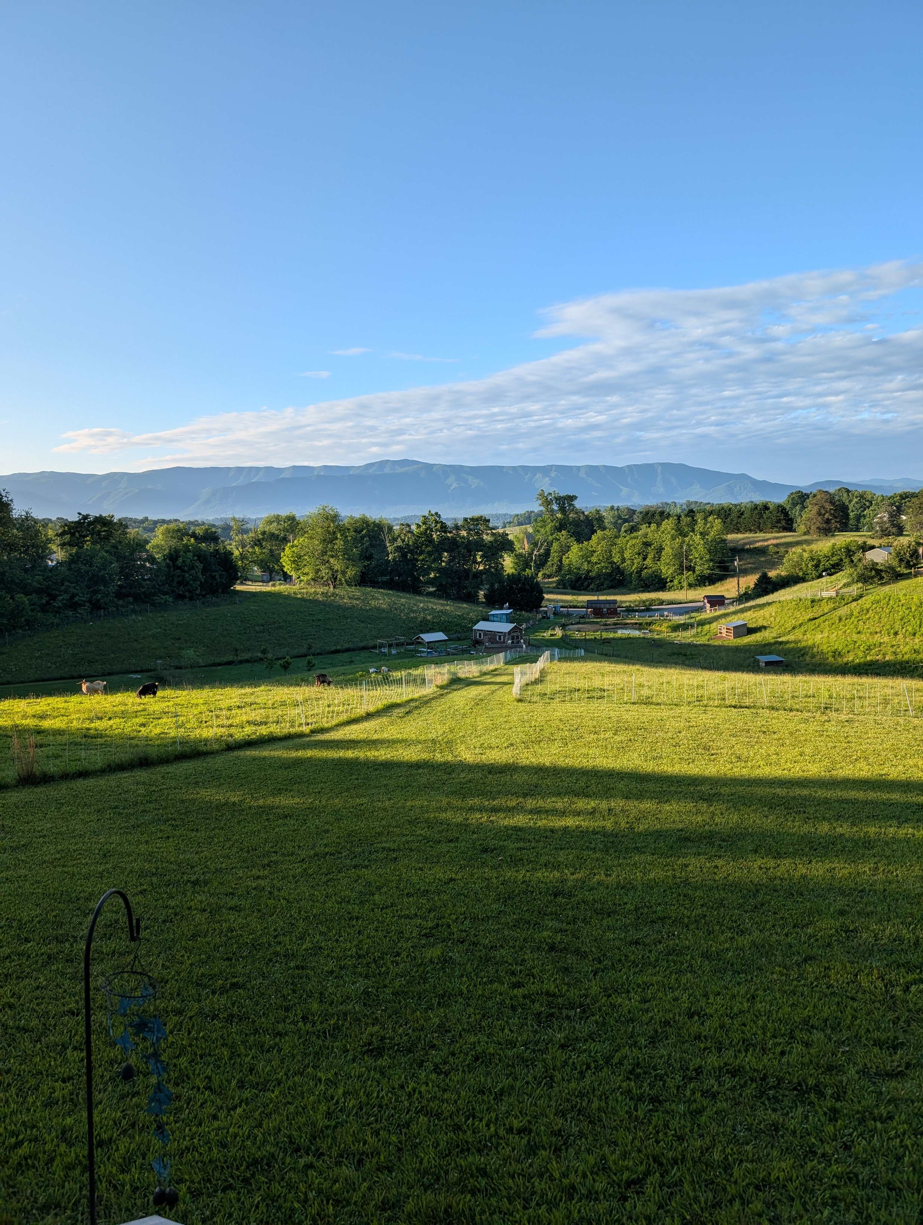 Gnome Hollow at Dixon Hill Farms