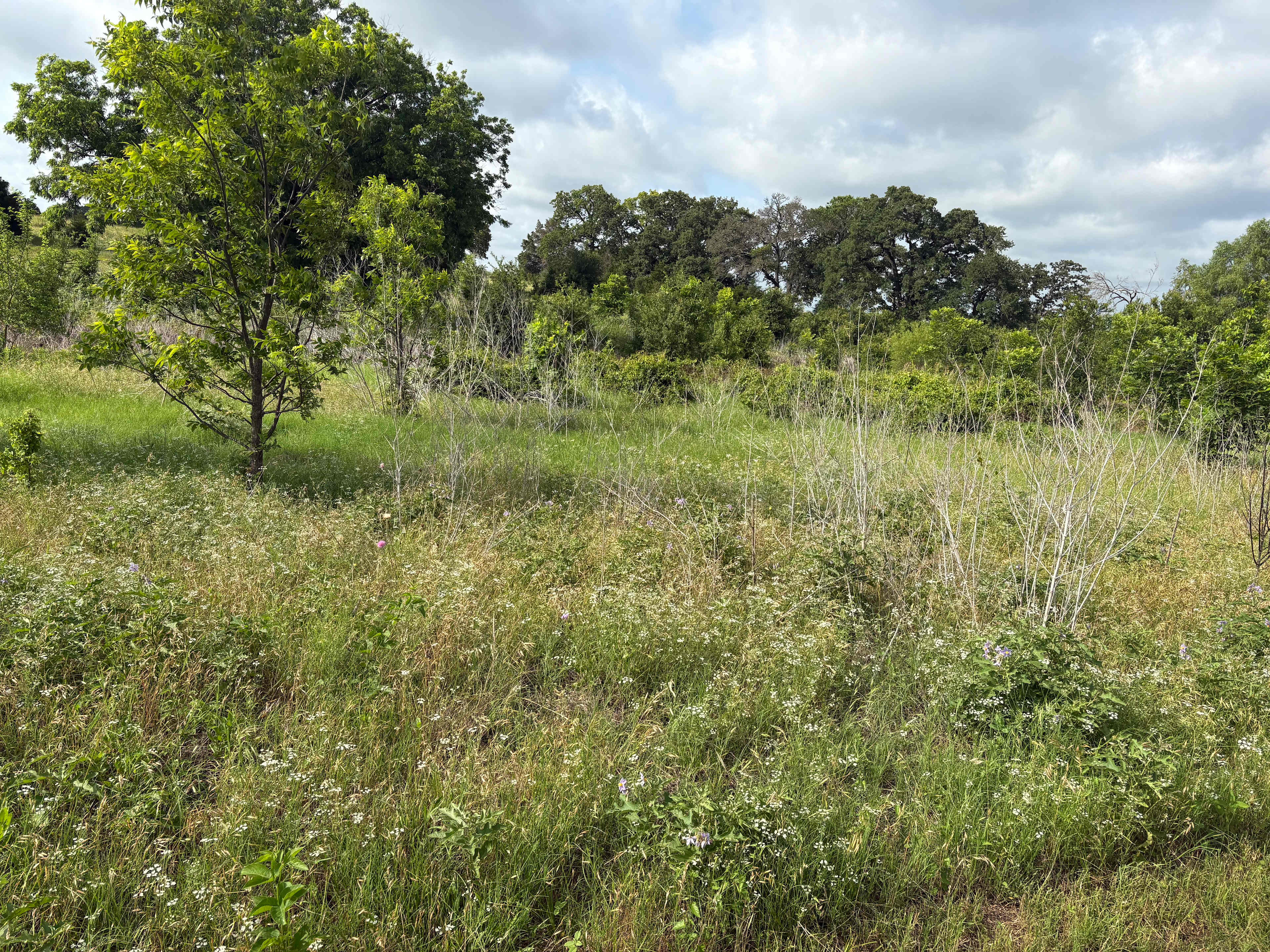 Coyote Creek Farm