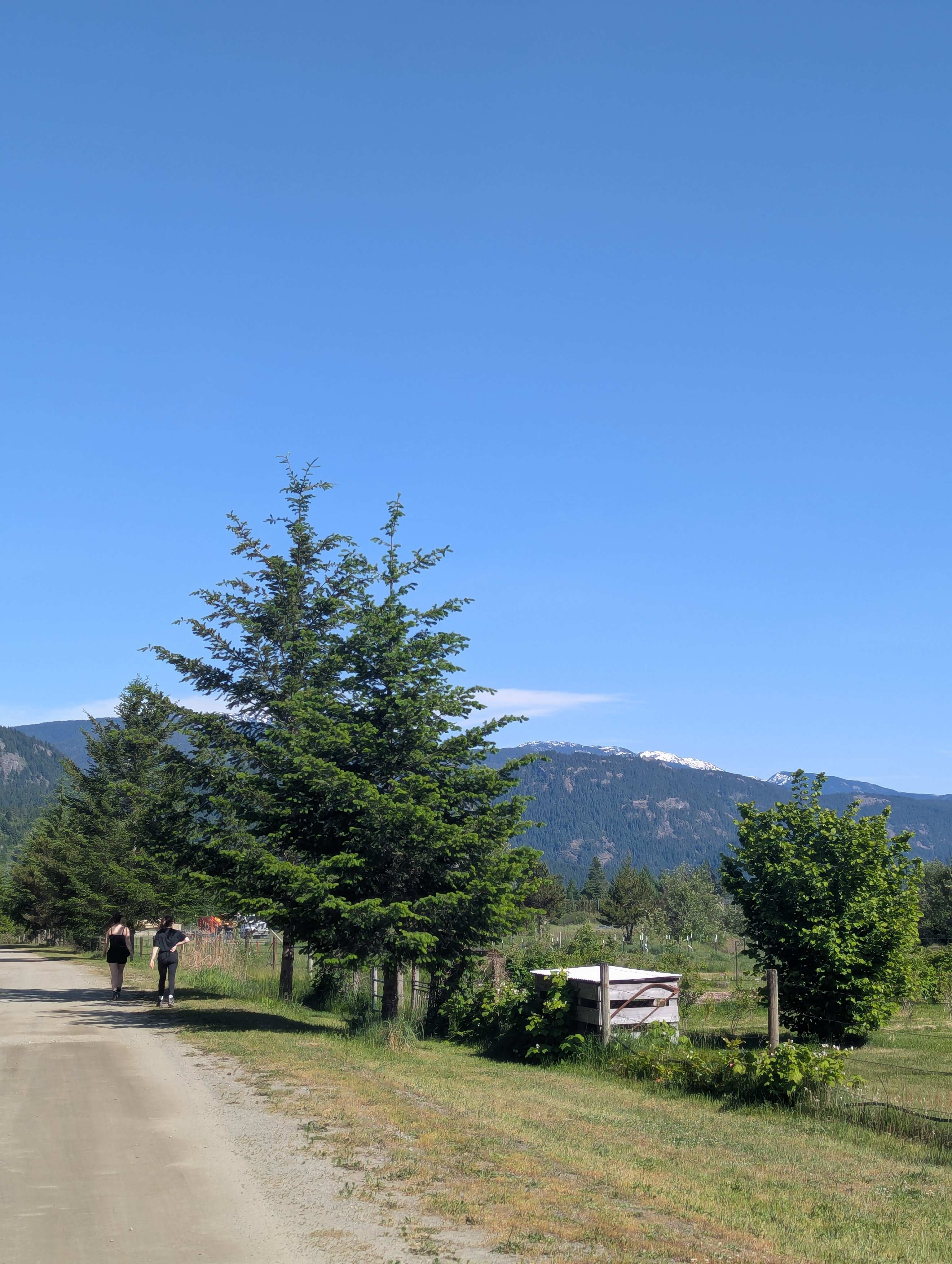 Washtock Family Campground