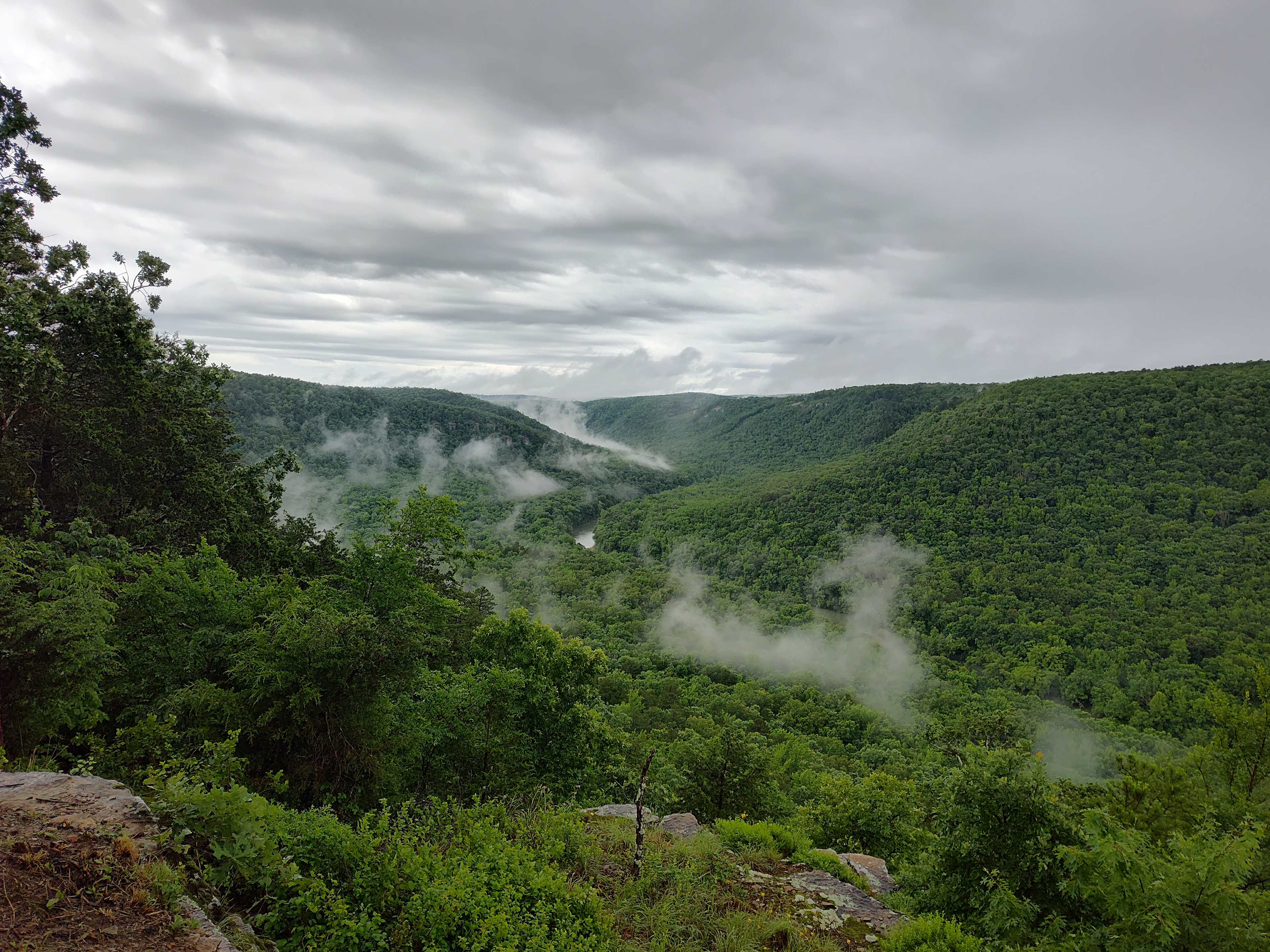 View from Harper's bluff 