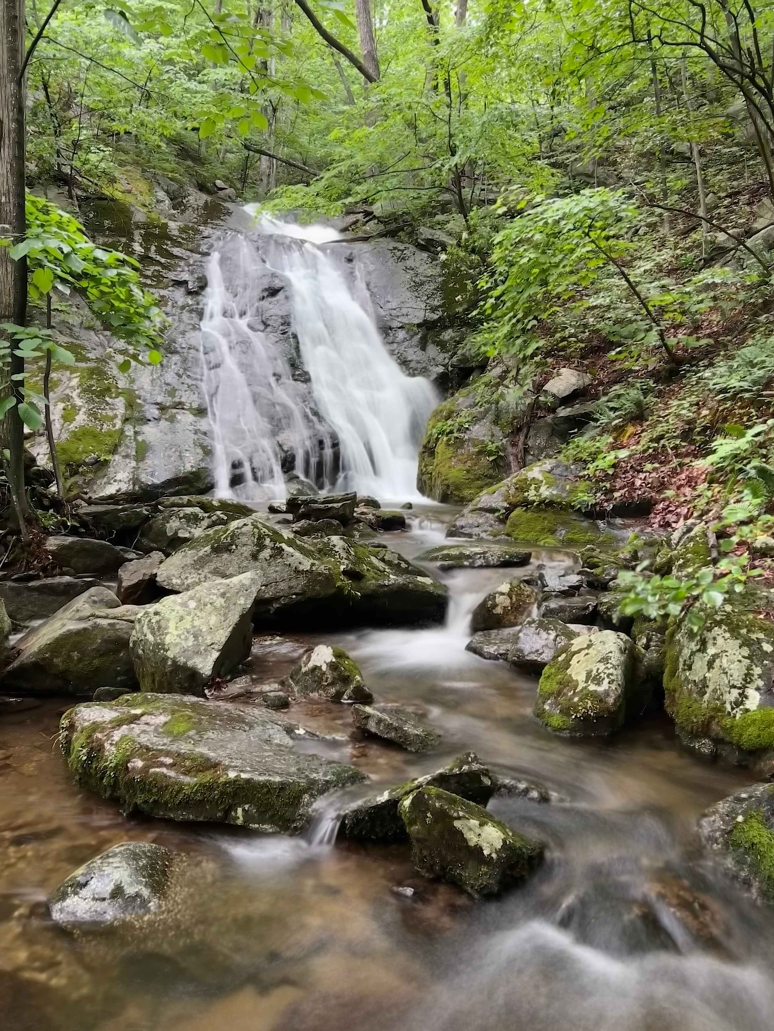Meili Mtn - Tye River Waterfall