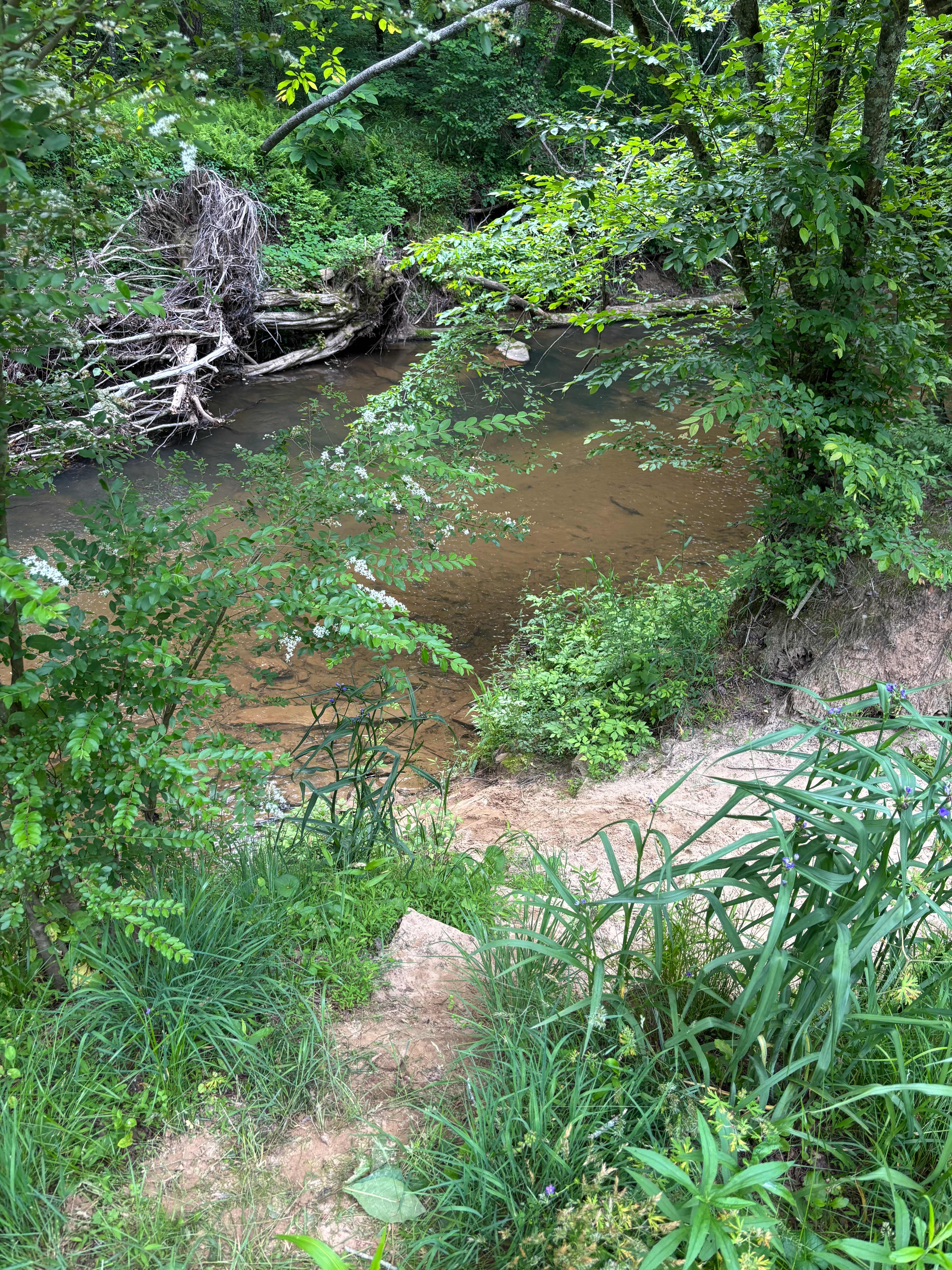 Path way down to river