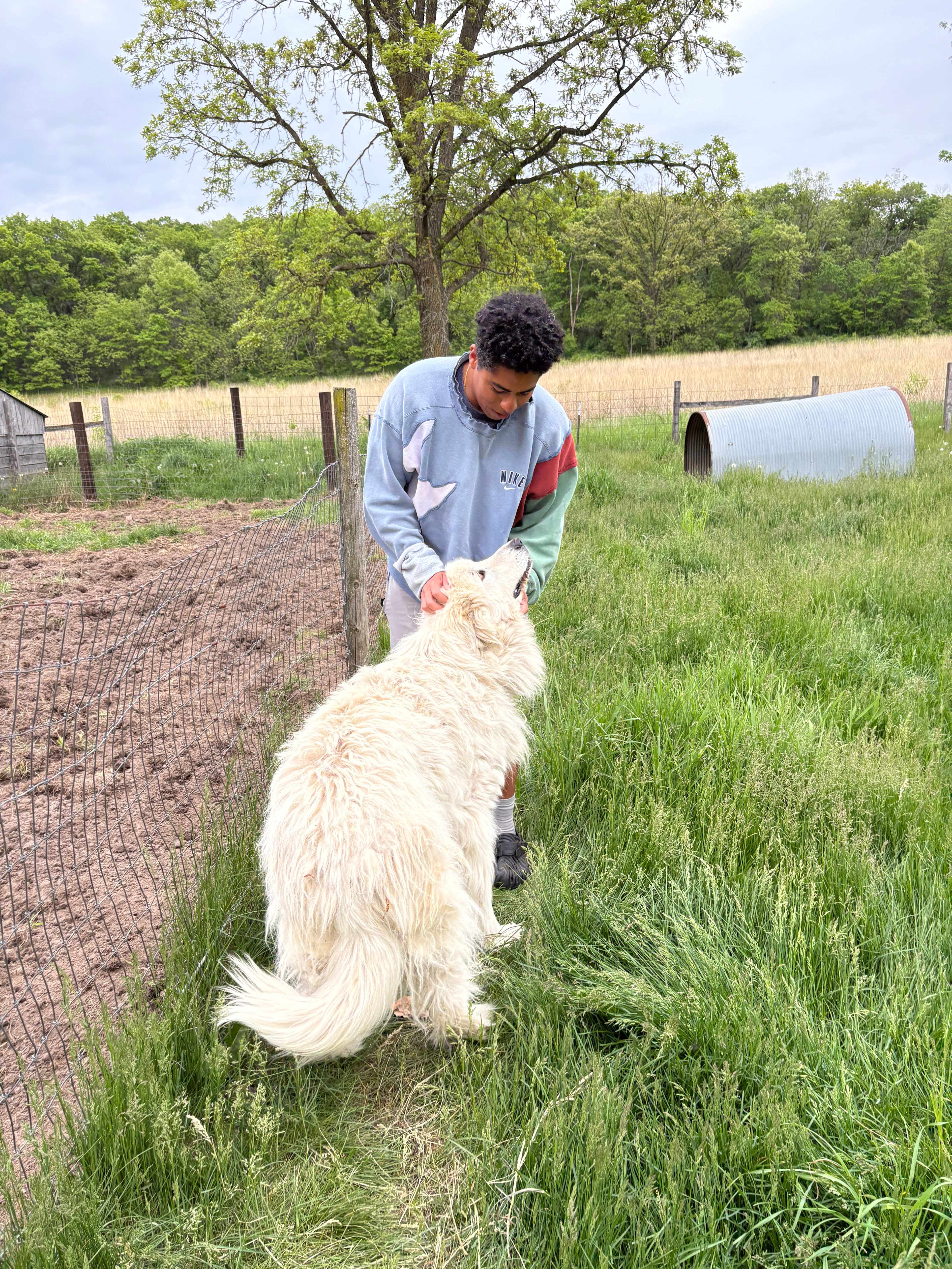 Circle M Farm Stay: Camp or Glamp