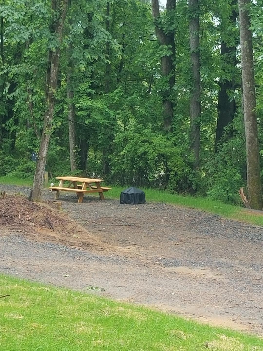 Claws cabins in Penrose