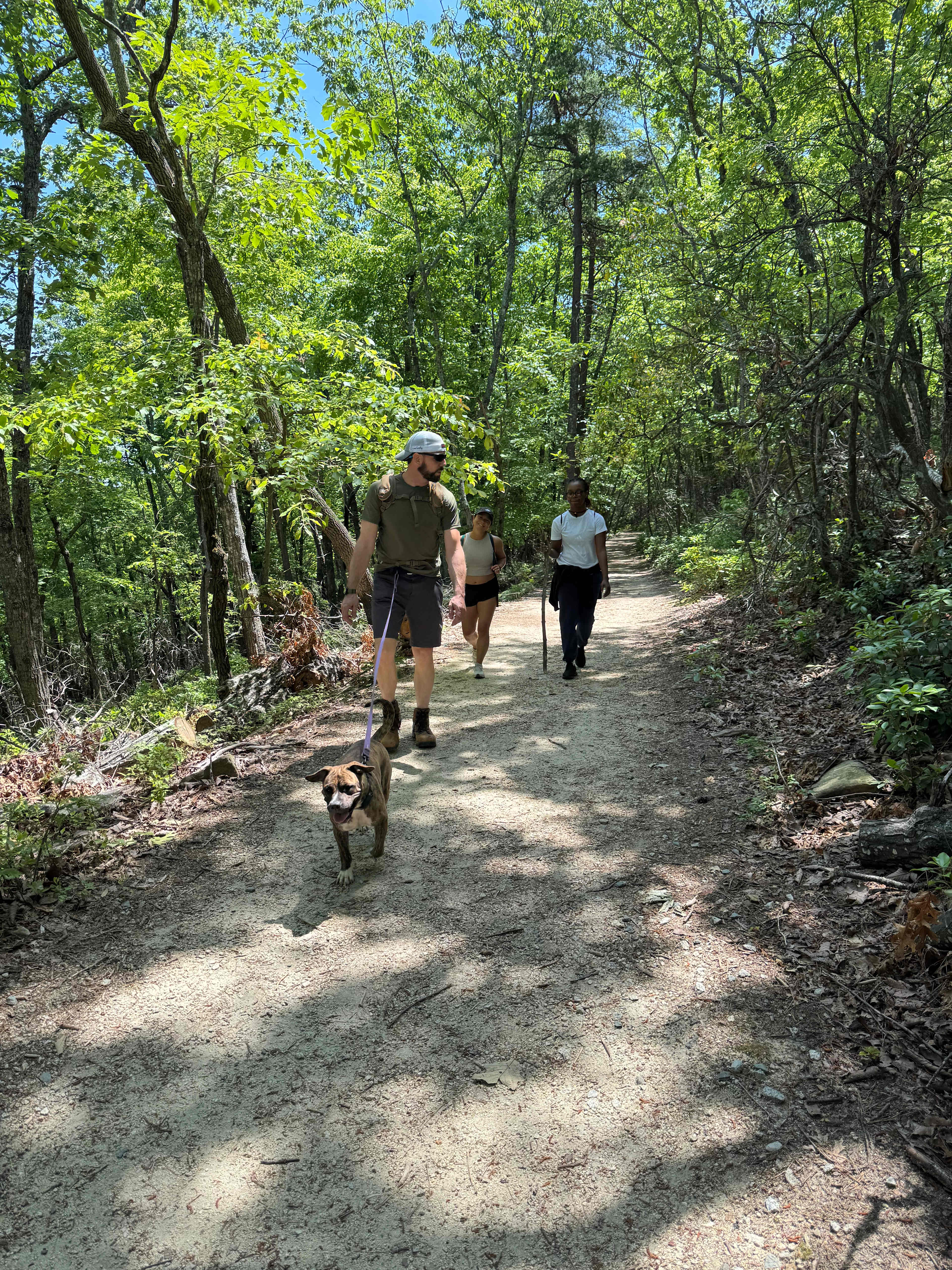 Hiking trails 