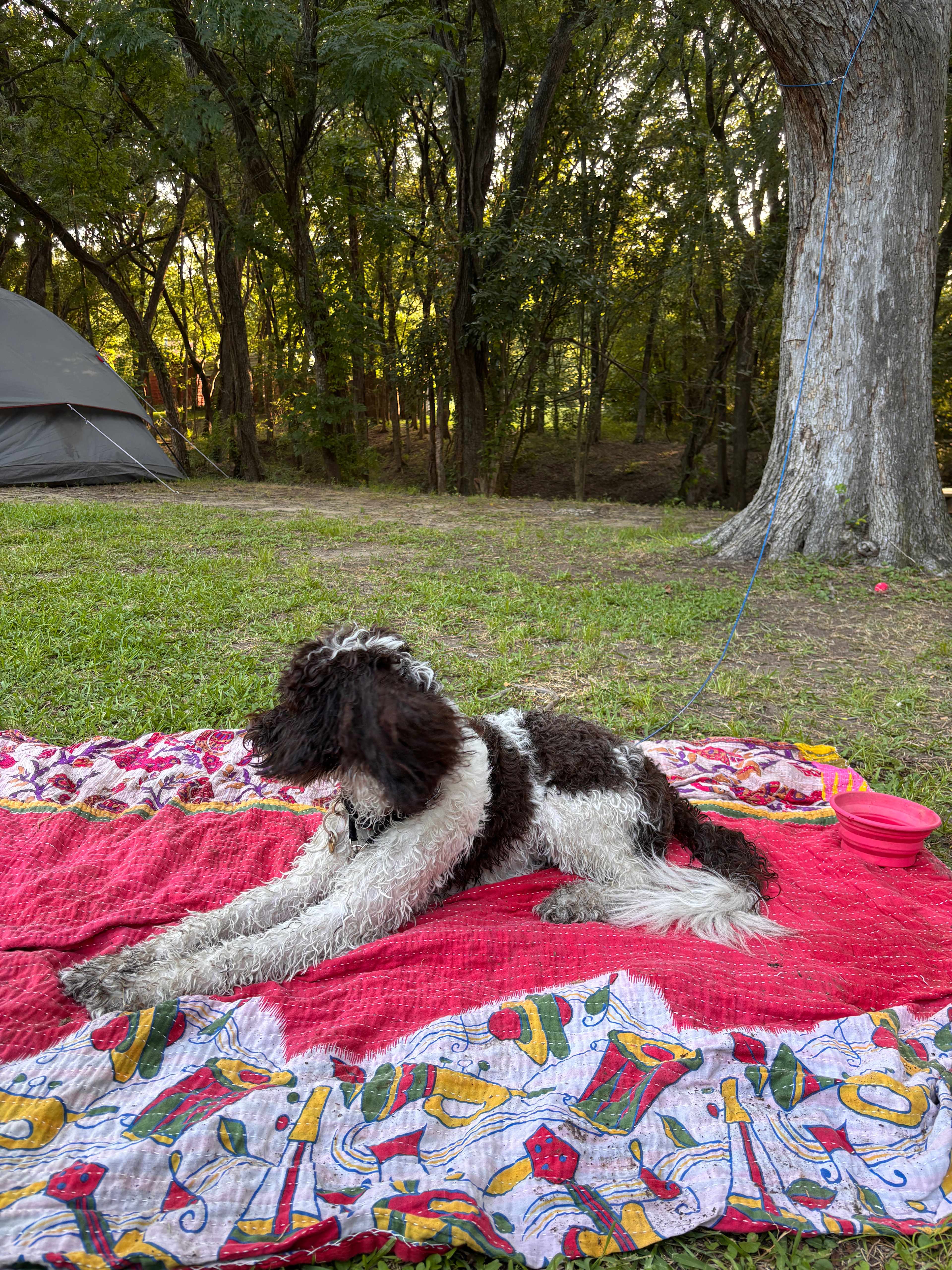 Liberty Hill Hideaway Lake Retreat