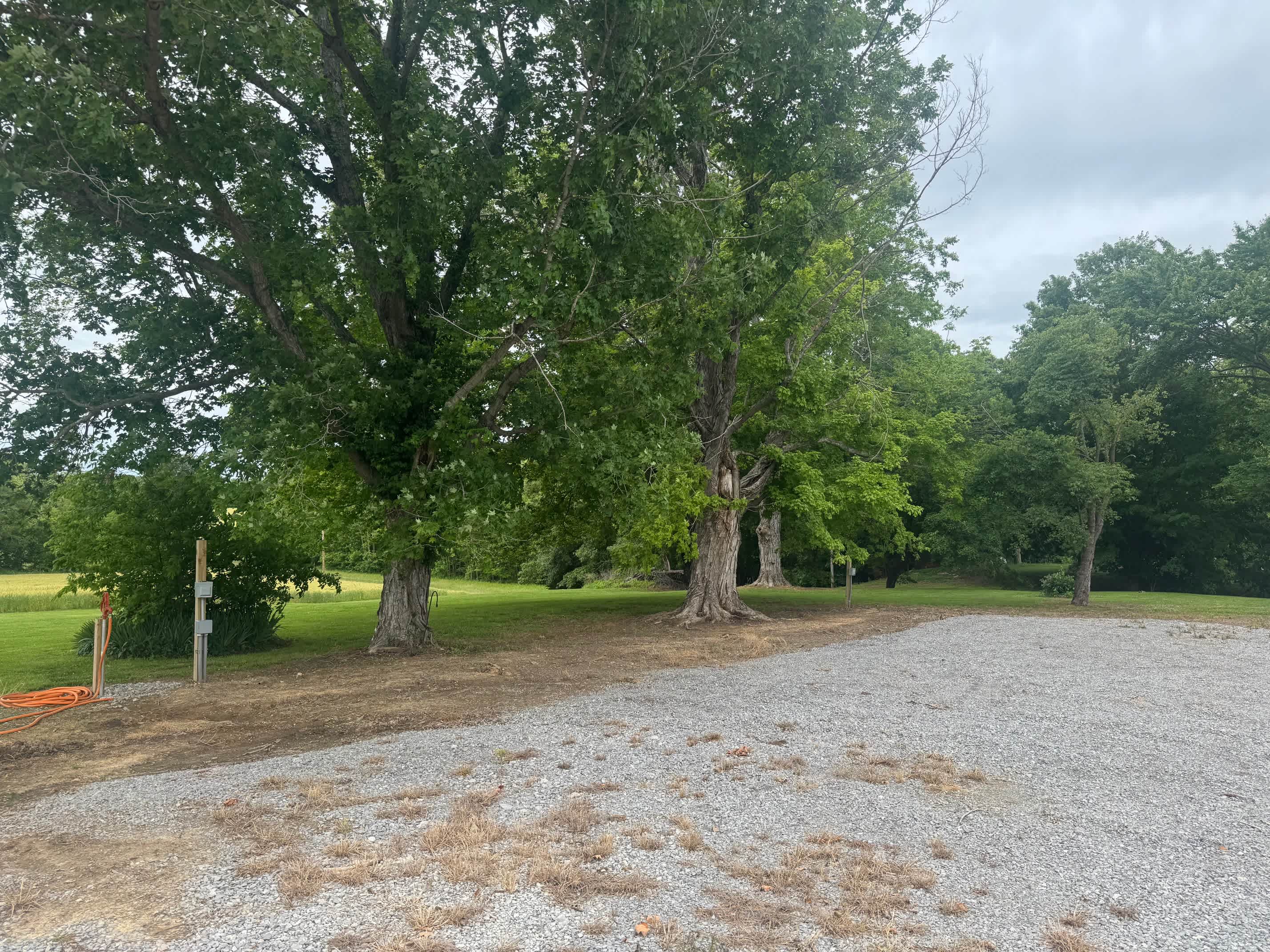 Meadow Ridge Farm
