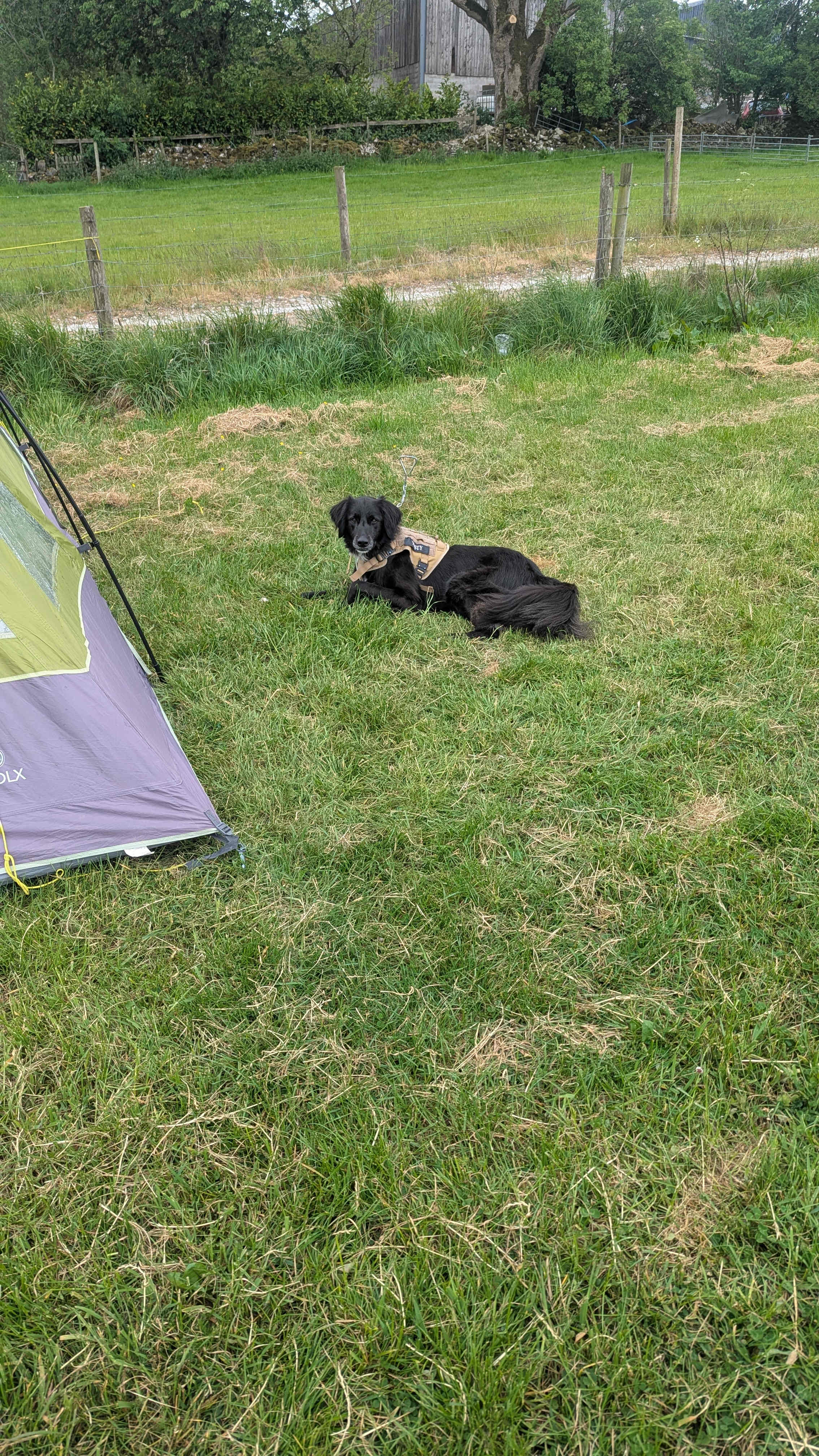 White Peak Camping