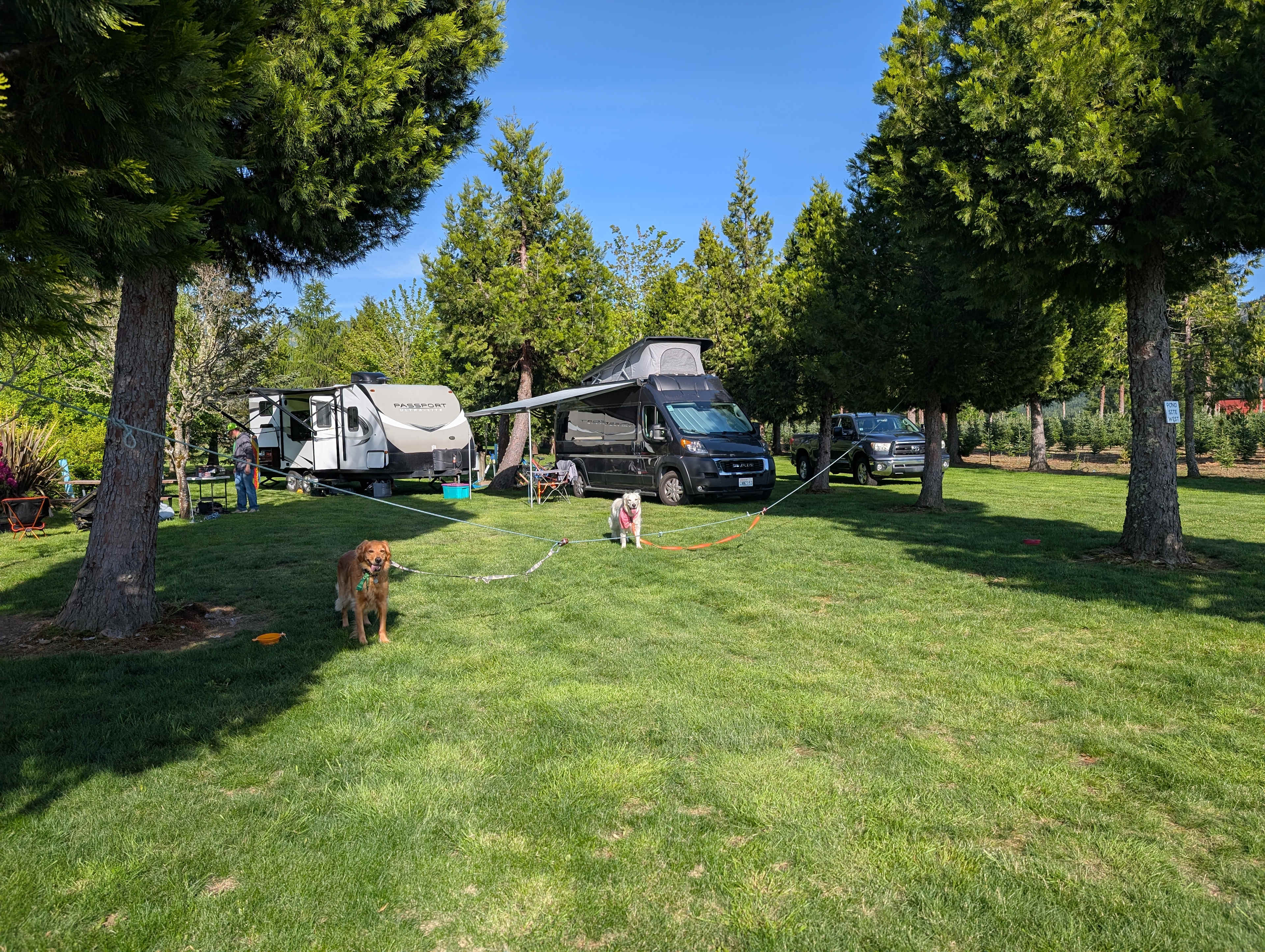 The Arboretum at Bear Canyon West