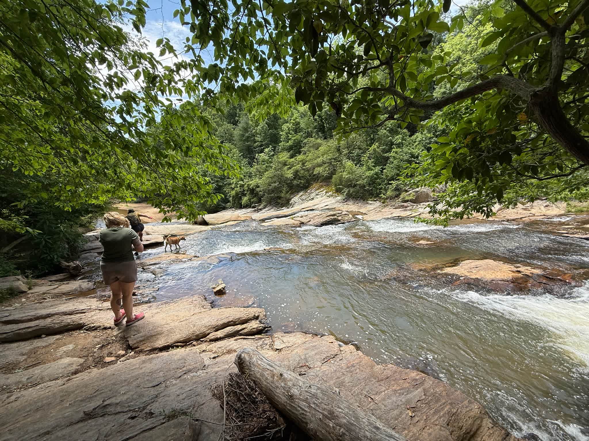 Carter Falls. Super kid & dog friendly swimming hole. 25 minute drive. 