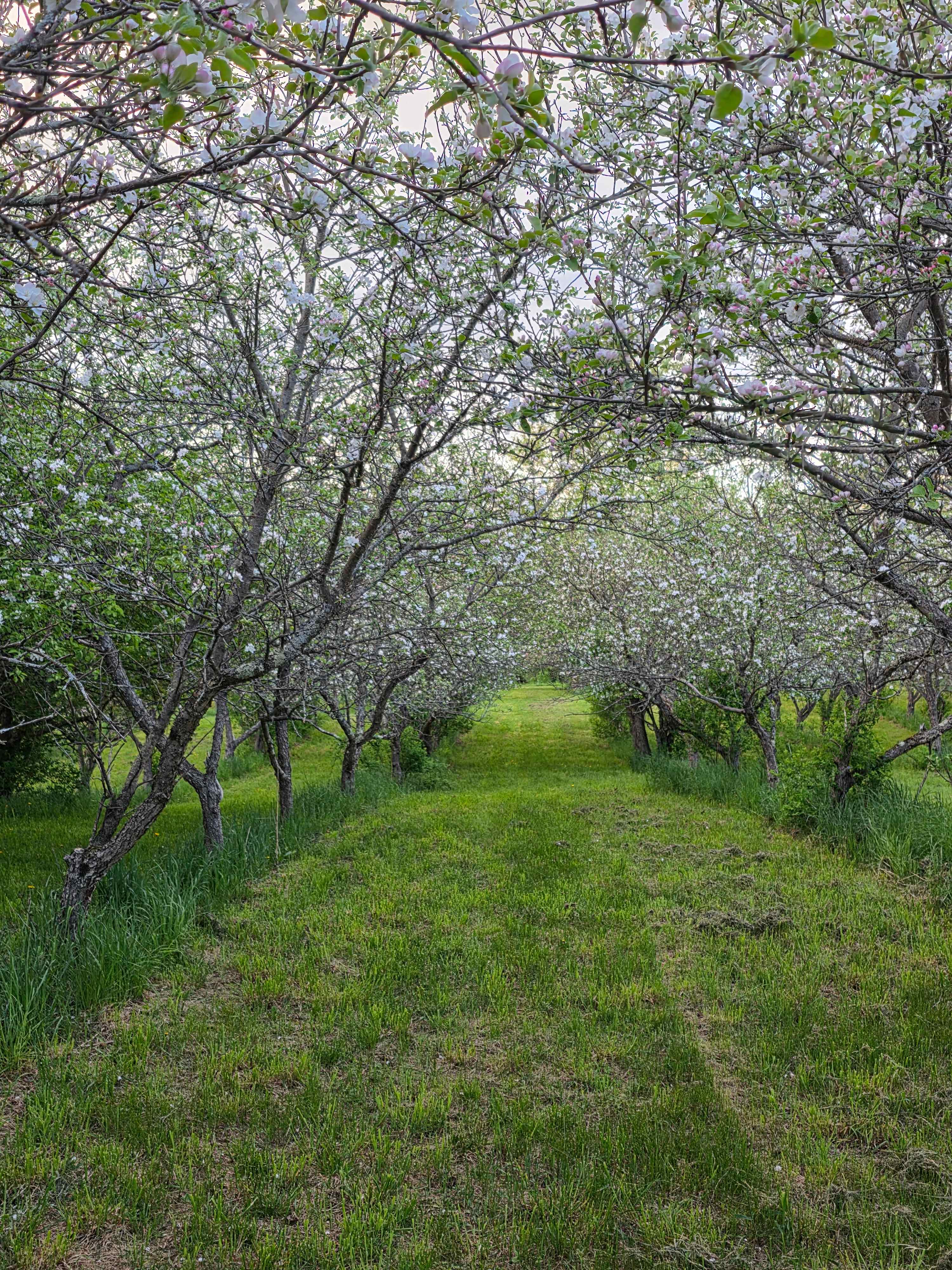 Barber's Family Orchard