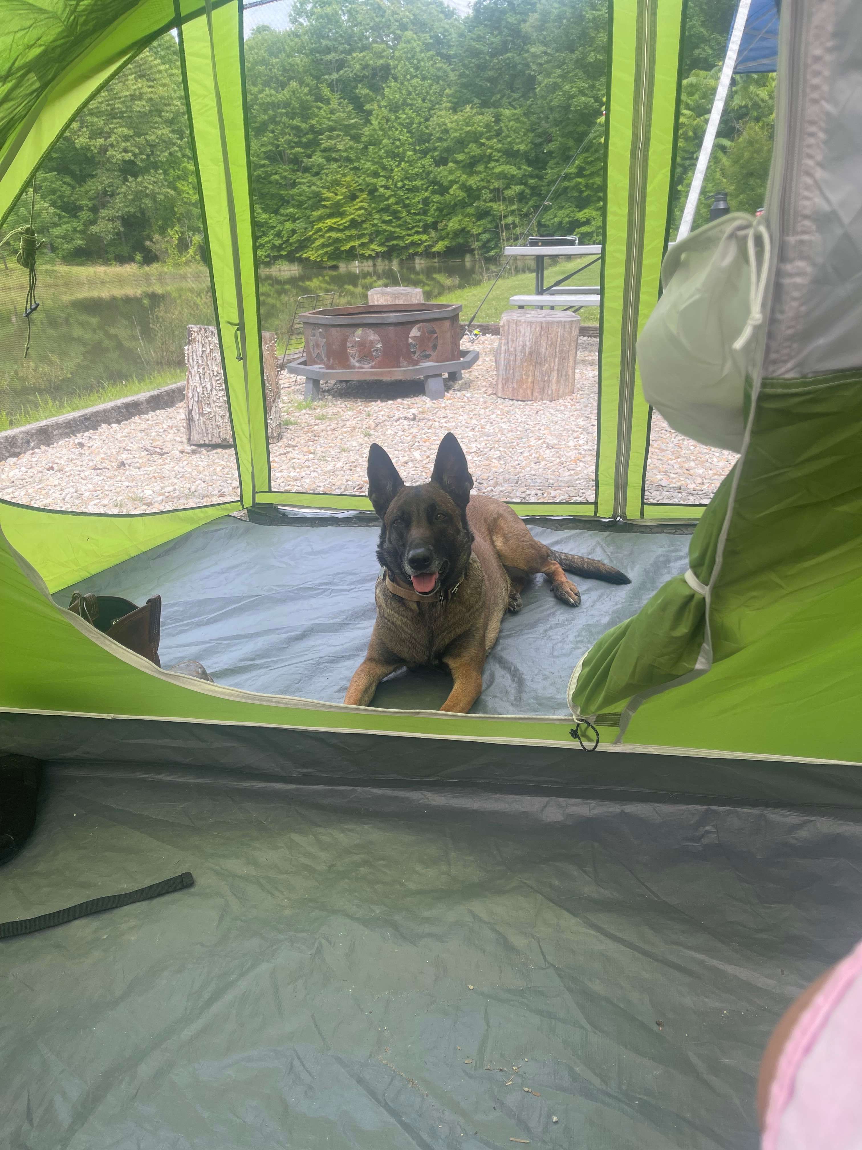 Lake View camping