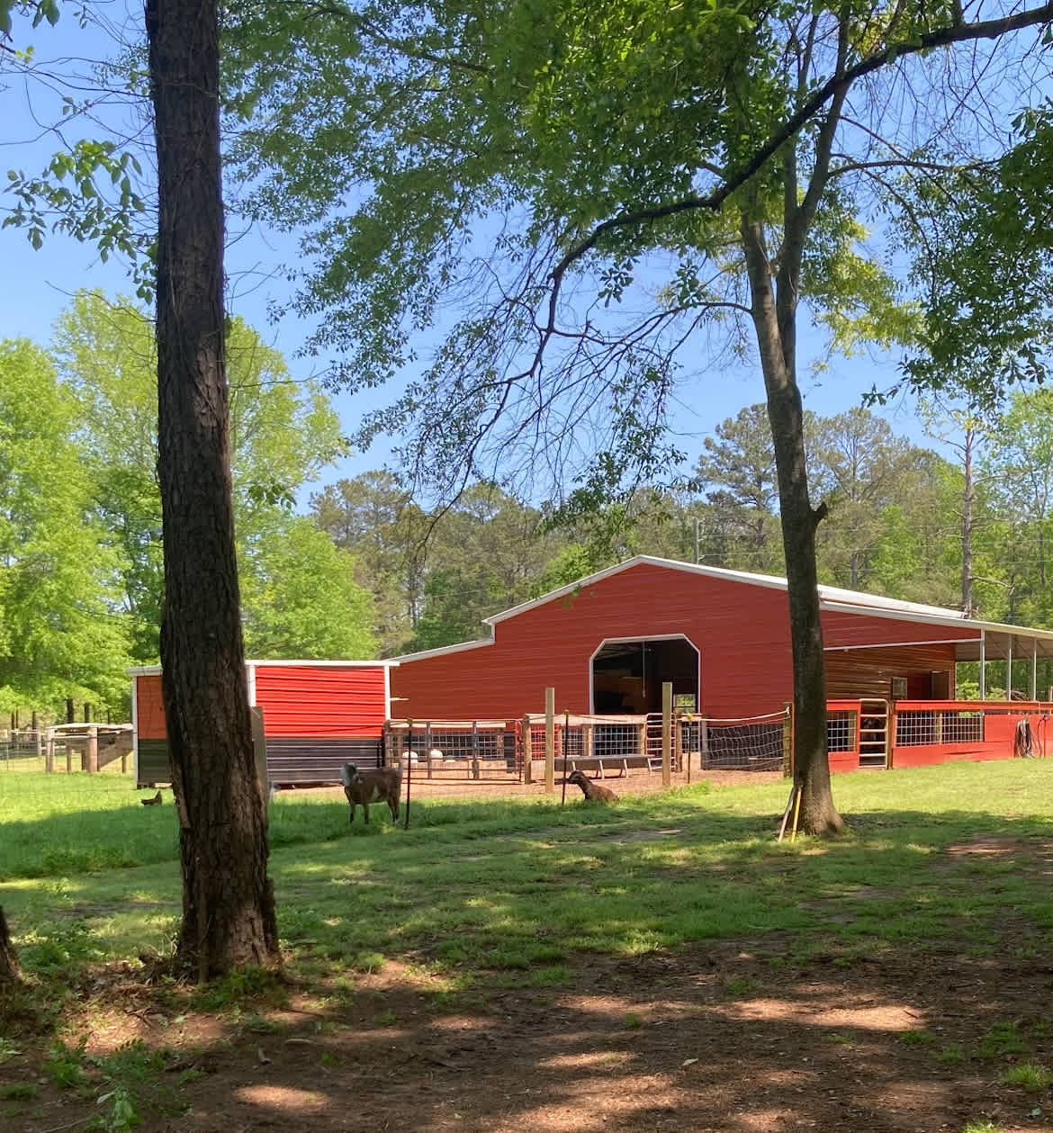 Nu Sunrise Farms