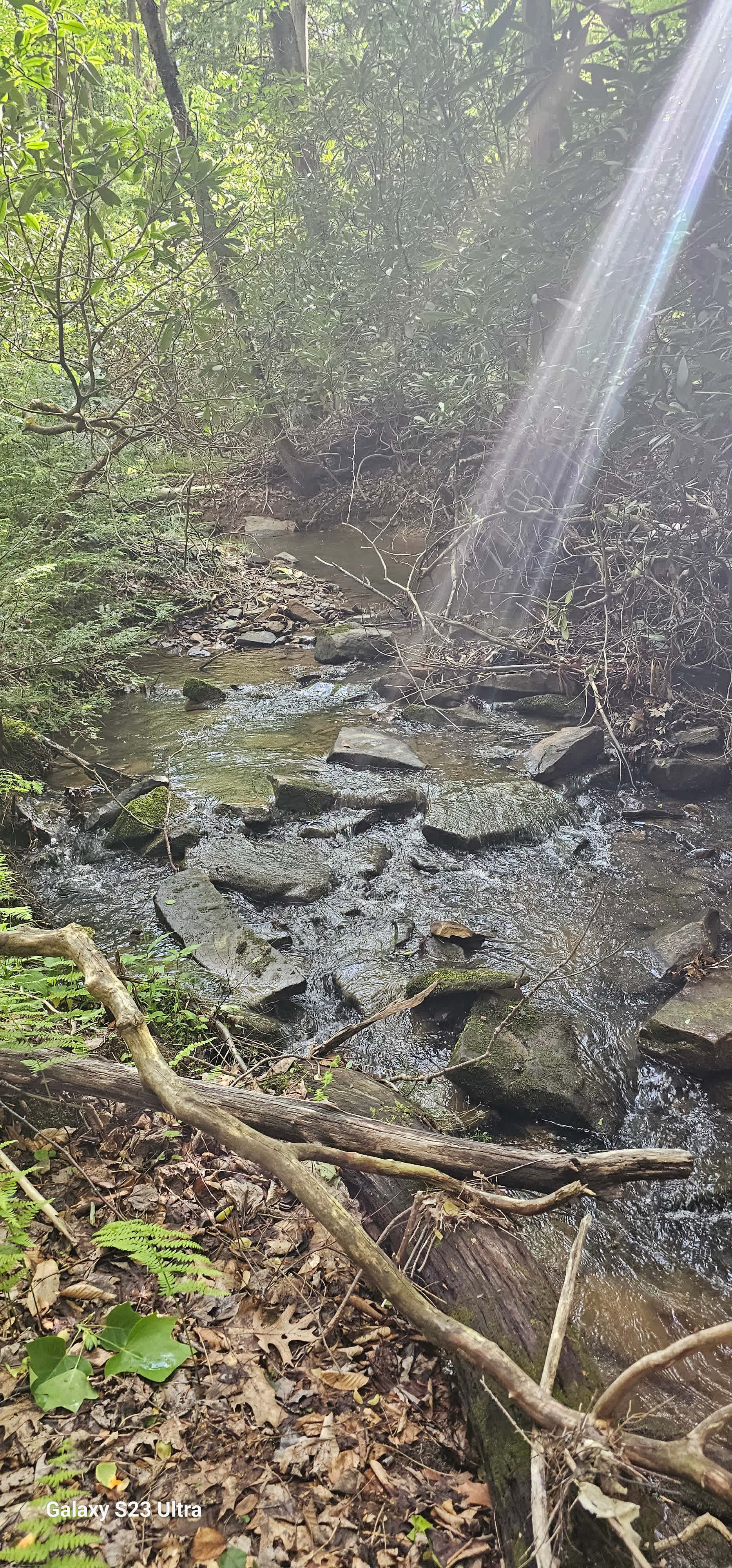 Gordon Glen Woods