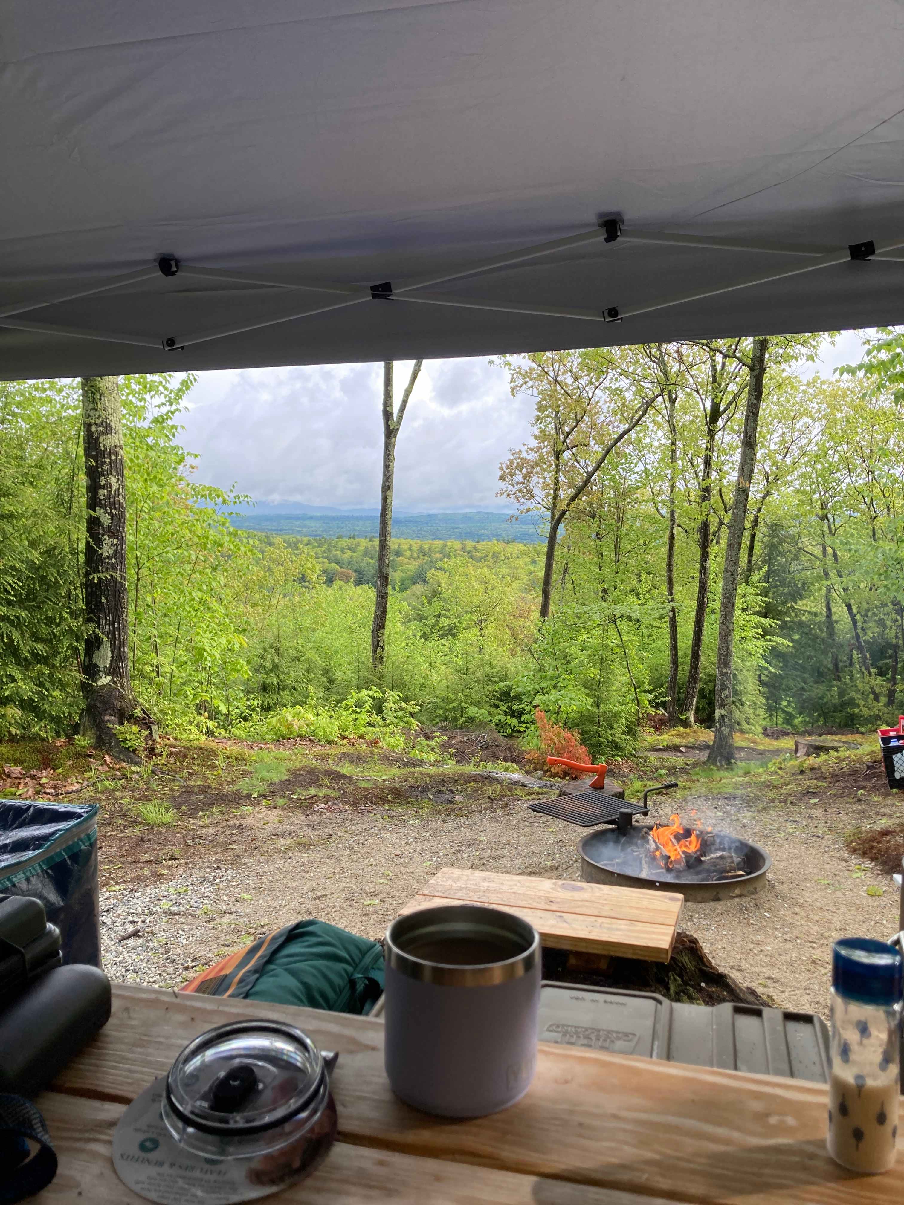 View from the table