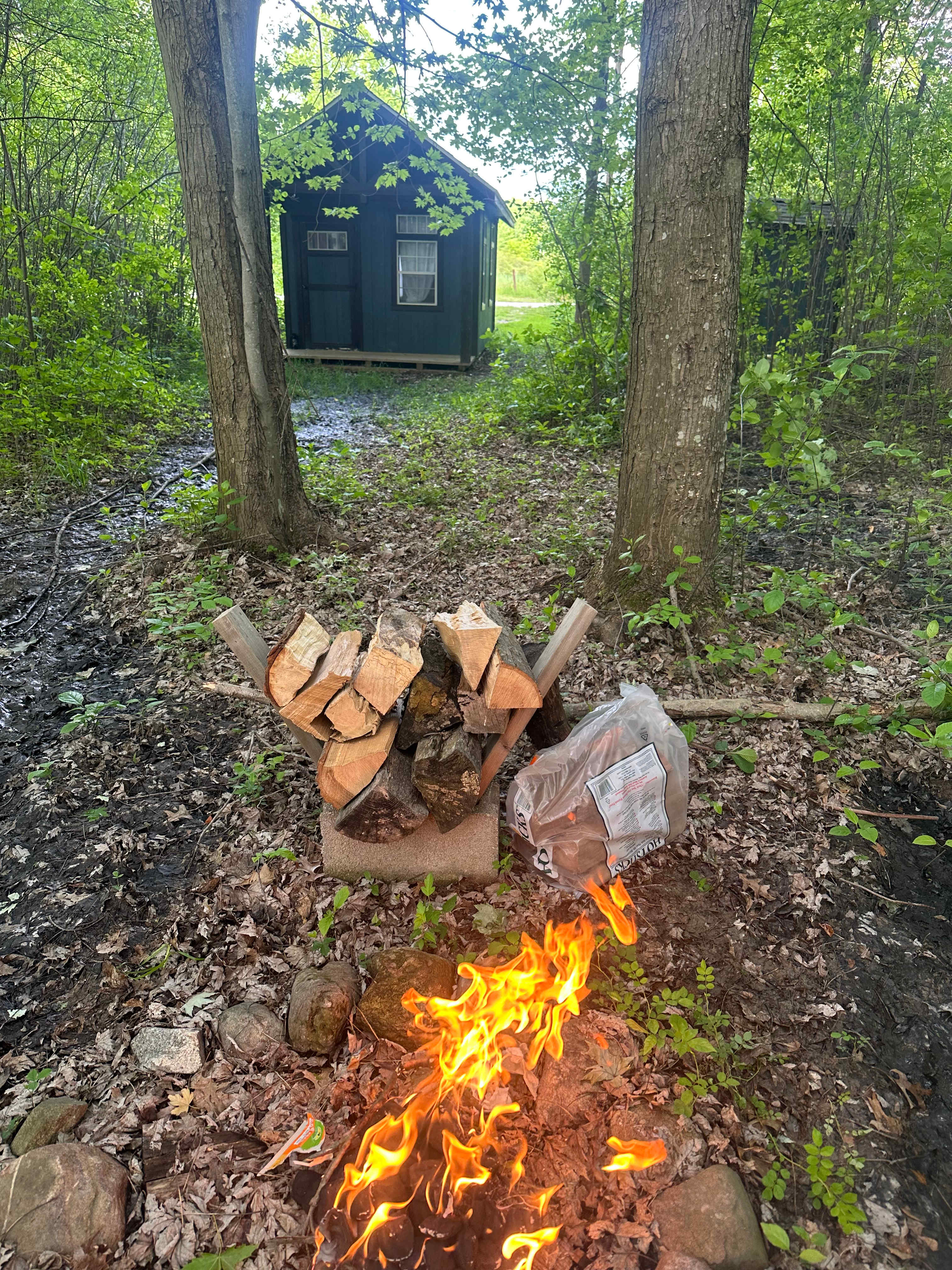 View from picnic table go cahin, outhouse can be seen on the right by cabin.