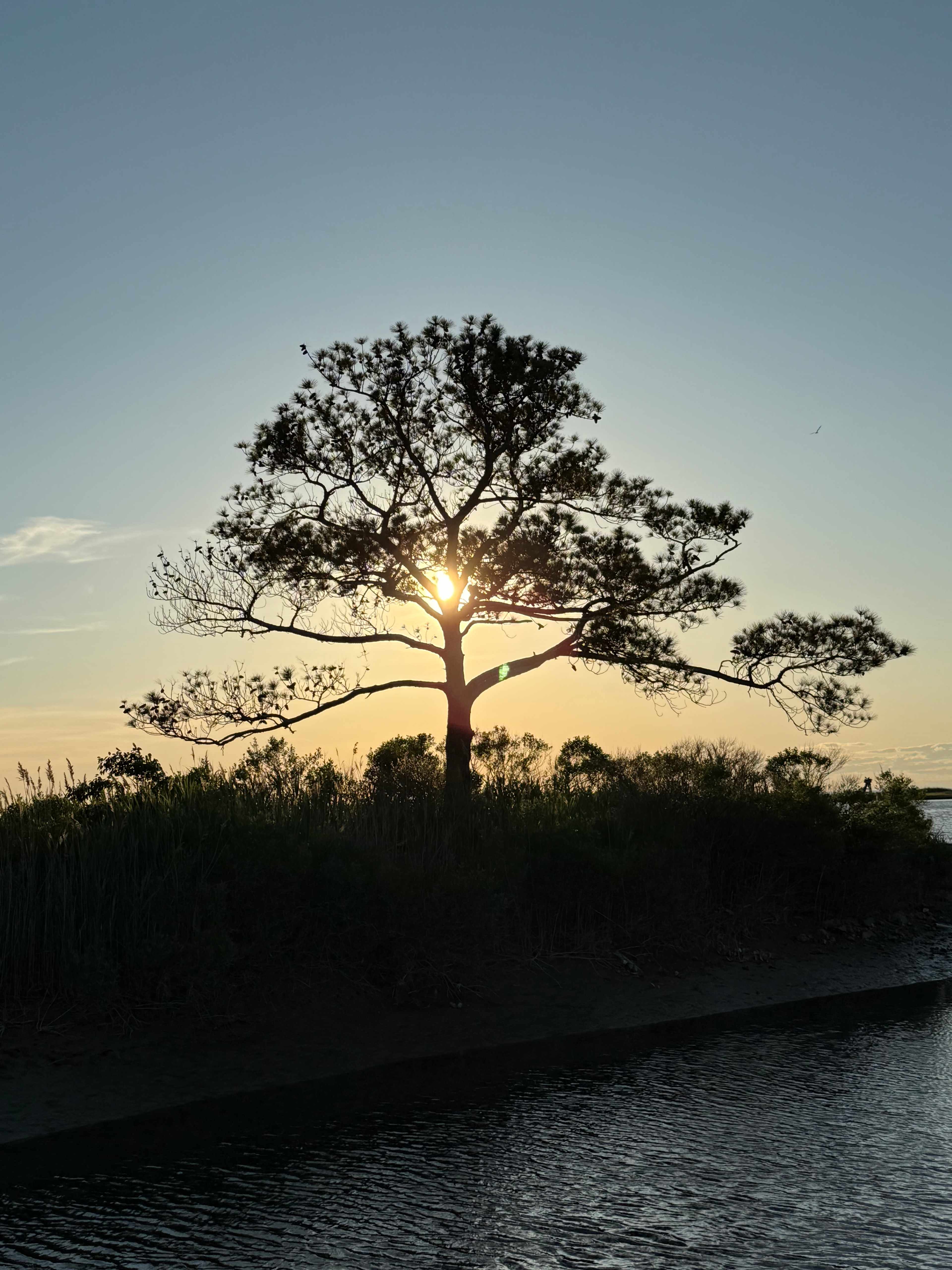 Sunset Pointe