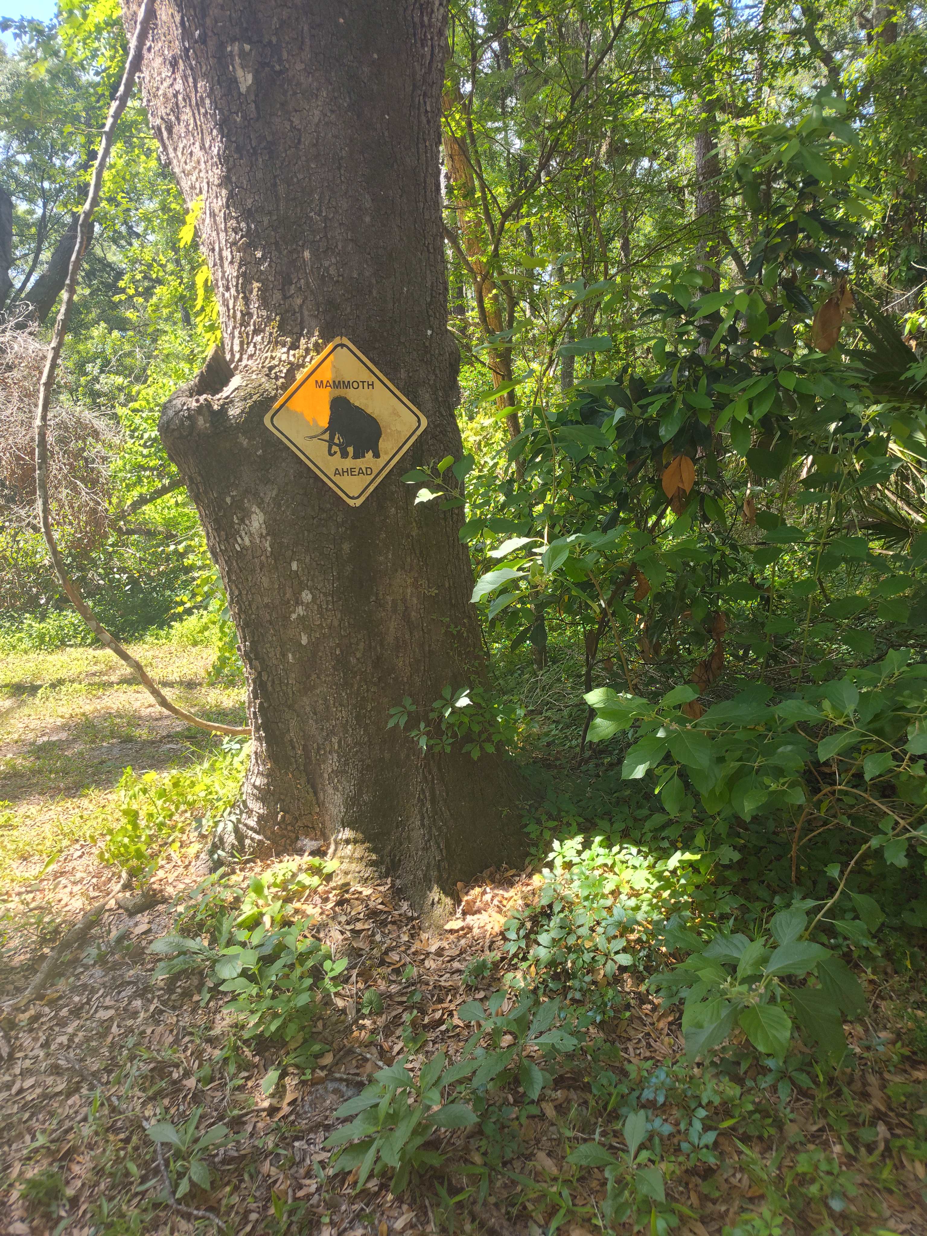 Artists Nature Retreat