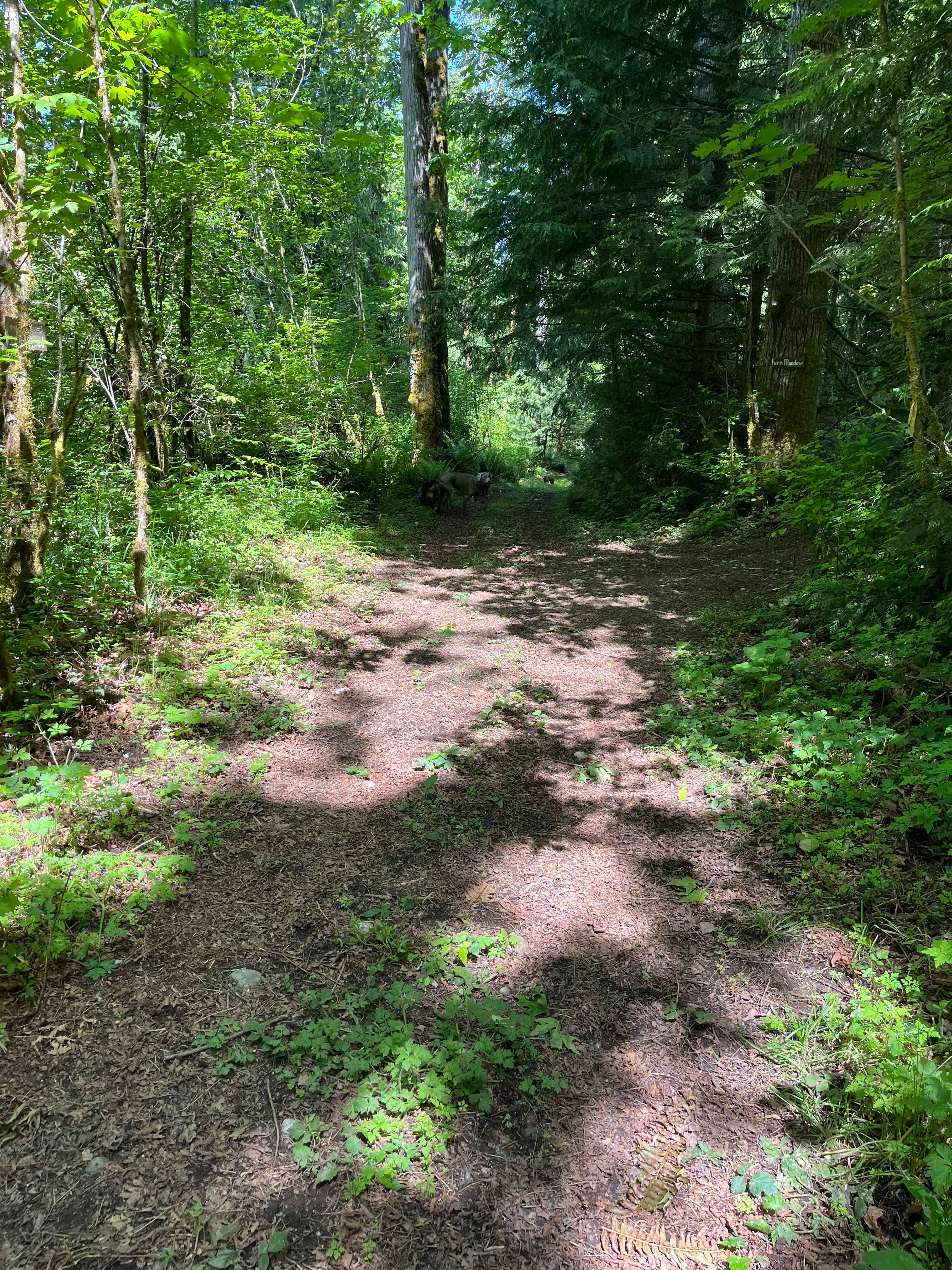 More of the hiking trails 