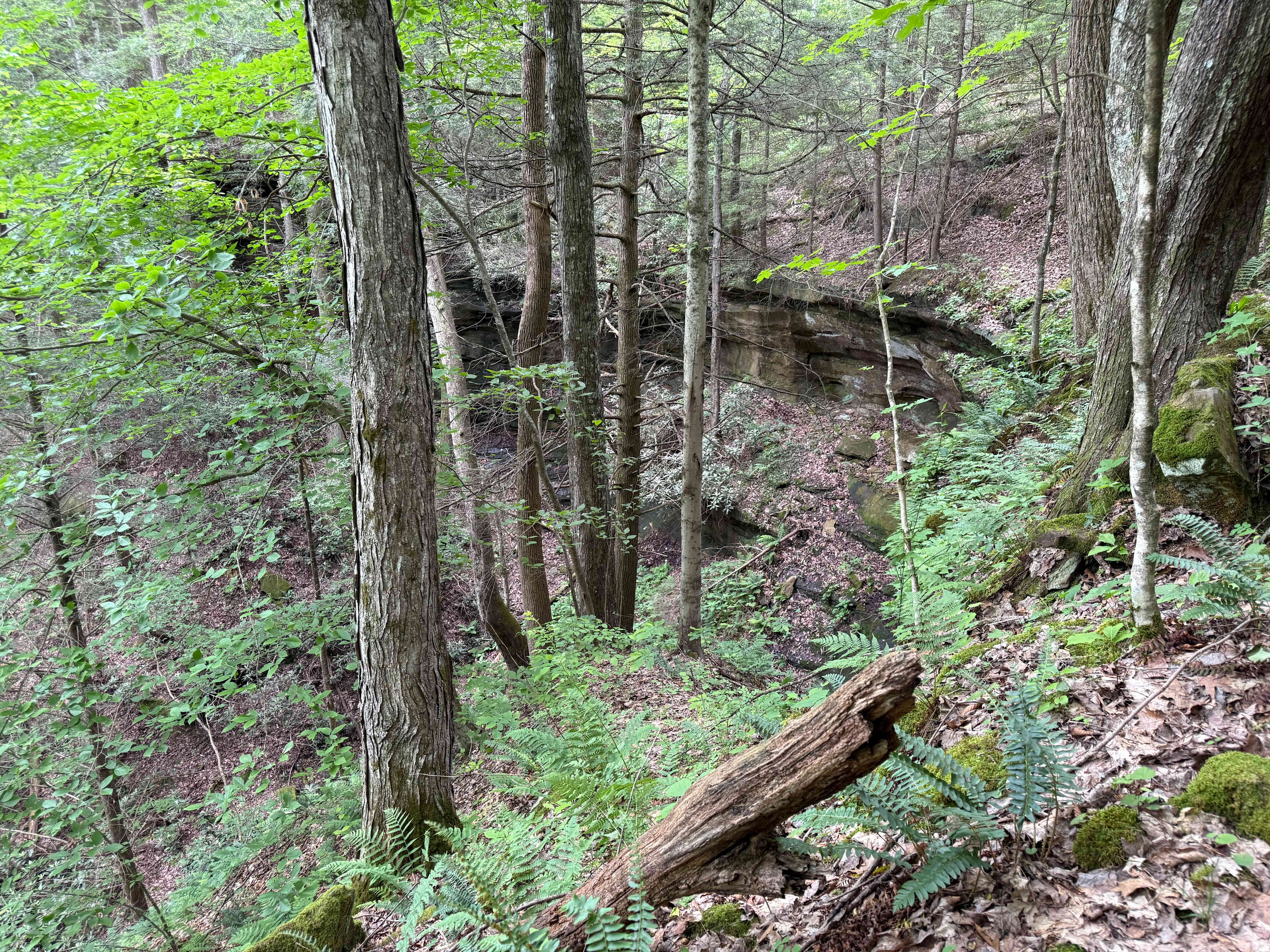 Possum Ridge Ranch