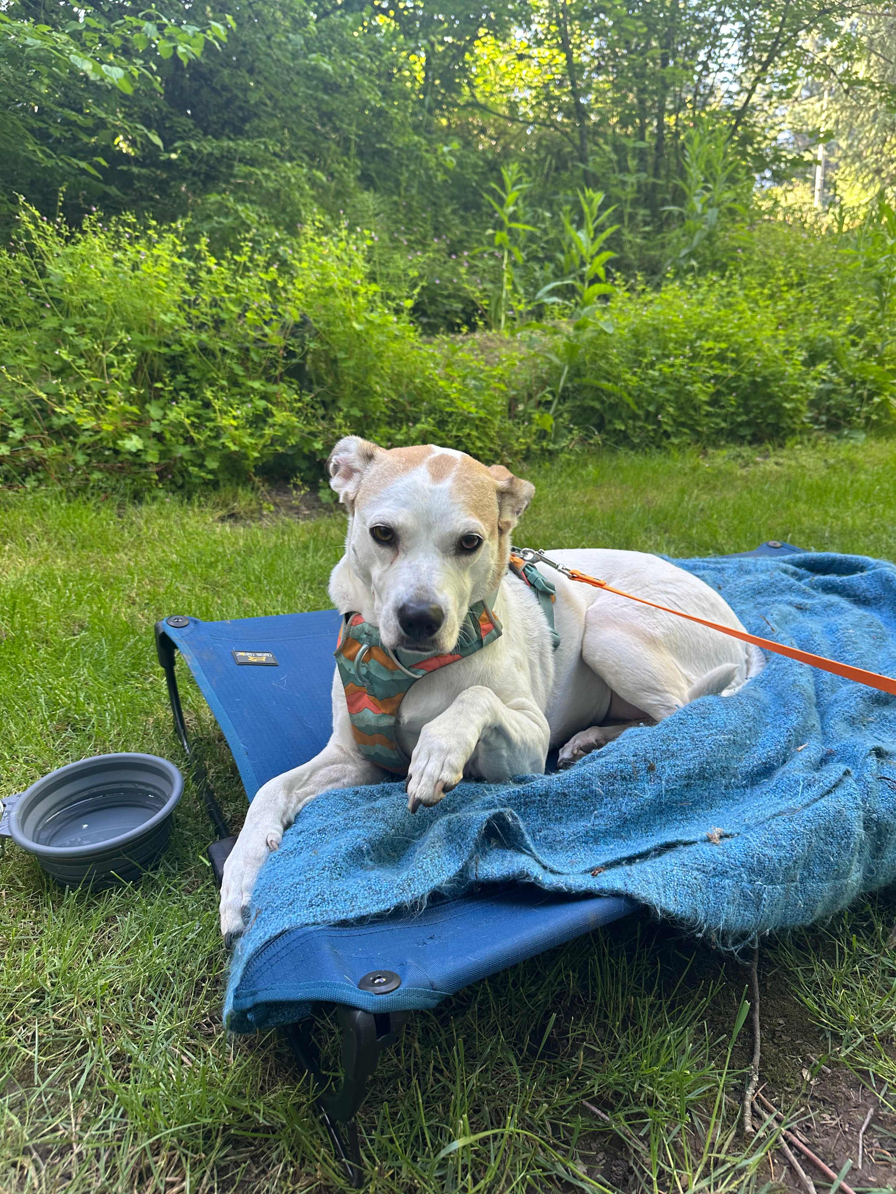 “Park like setting”