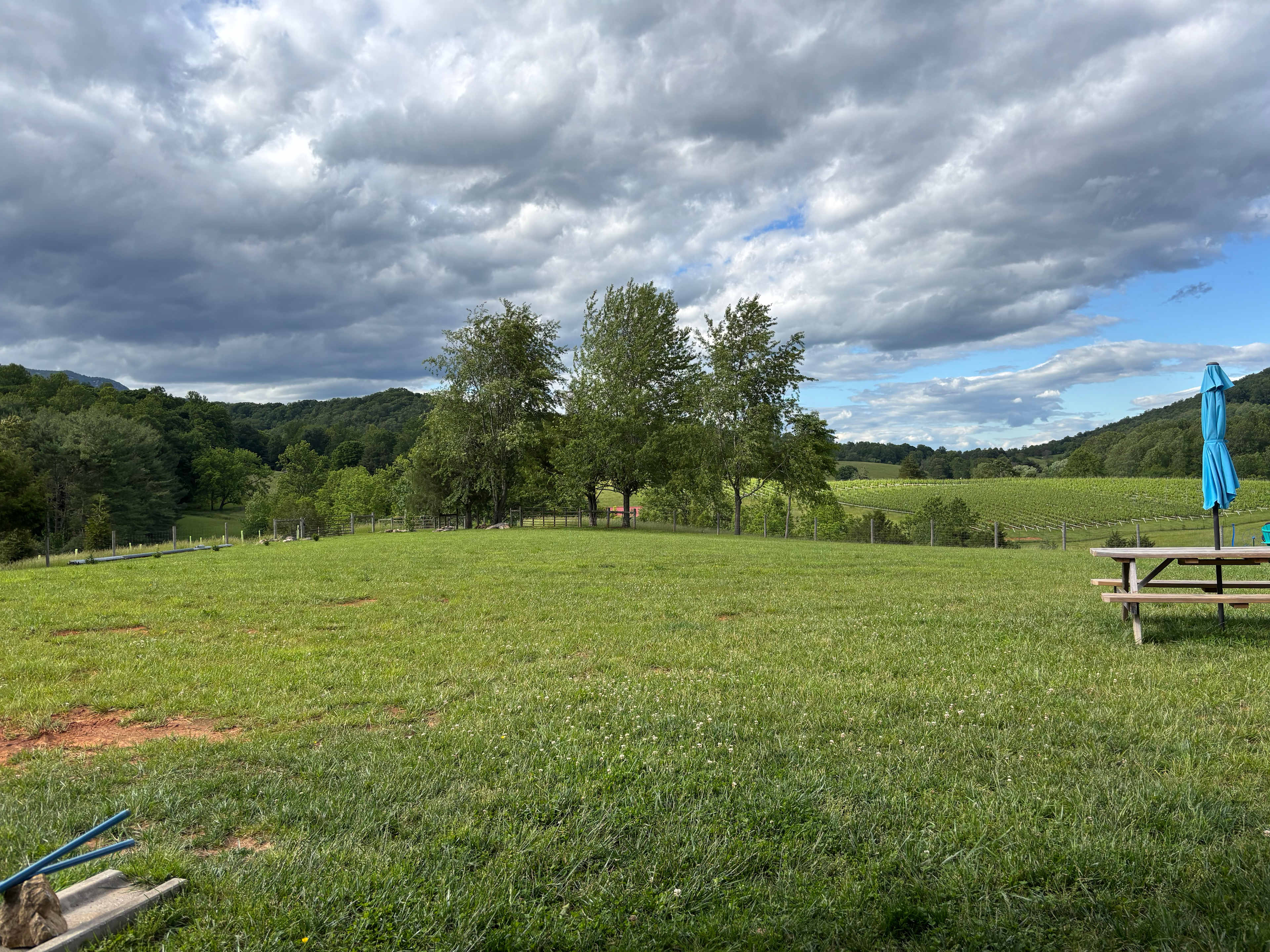 Blue Quartz Winery/Brewery