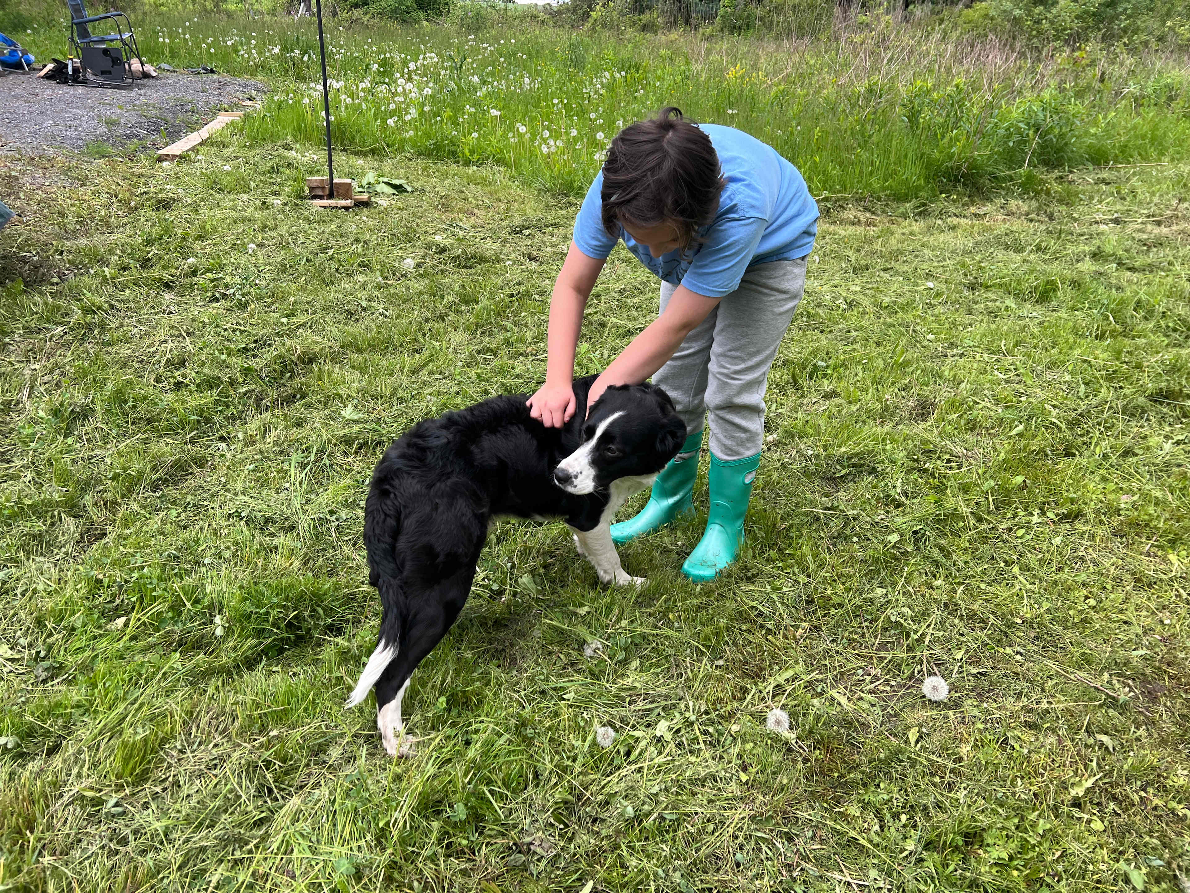 Crazy Goats Farm Camp