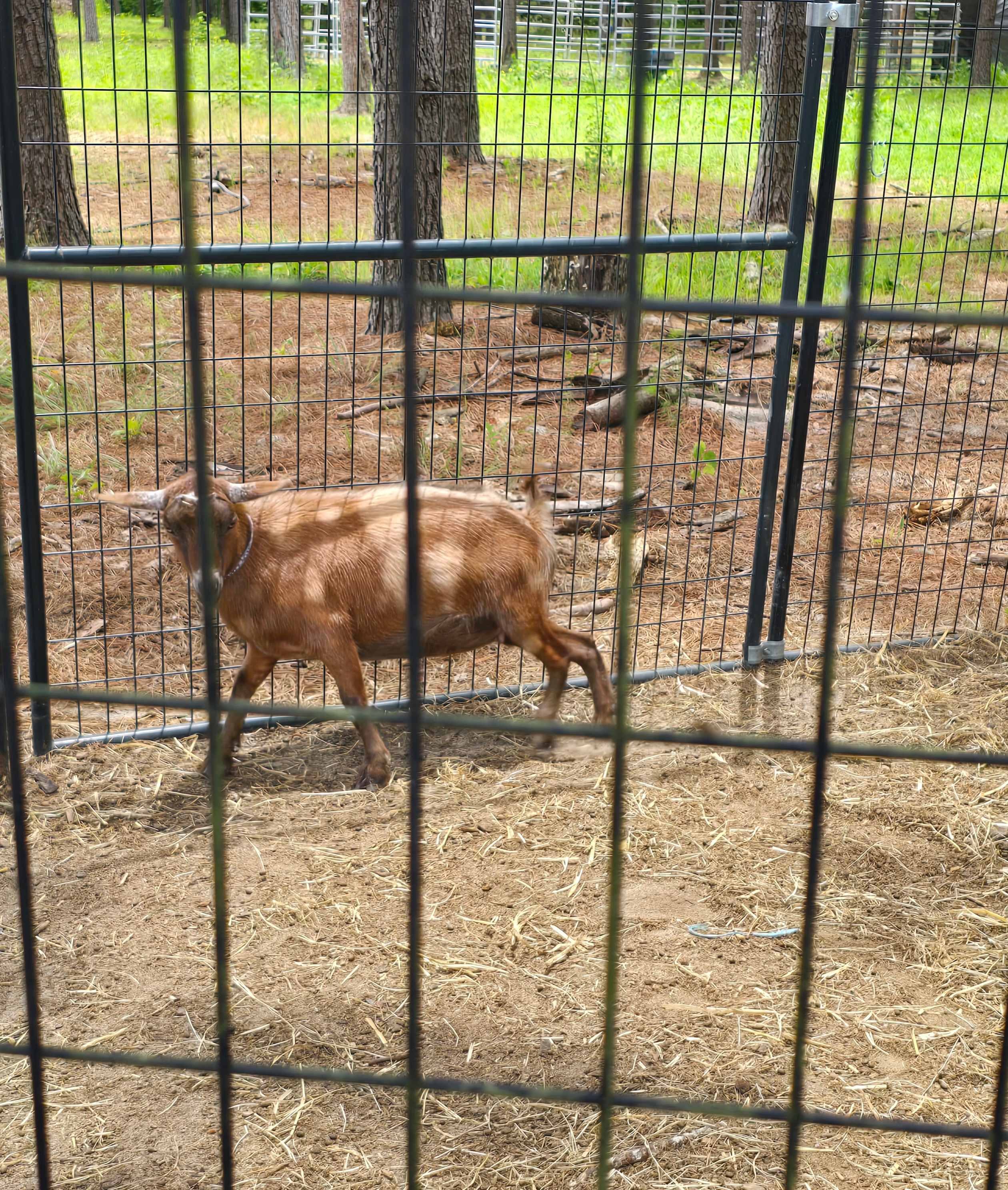Idlewild Farm Stays