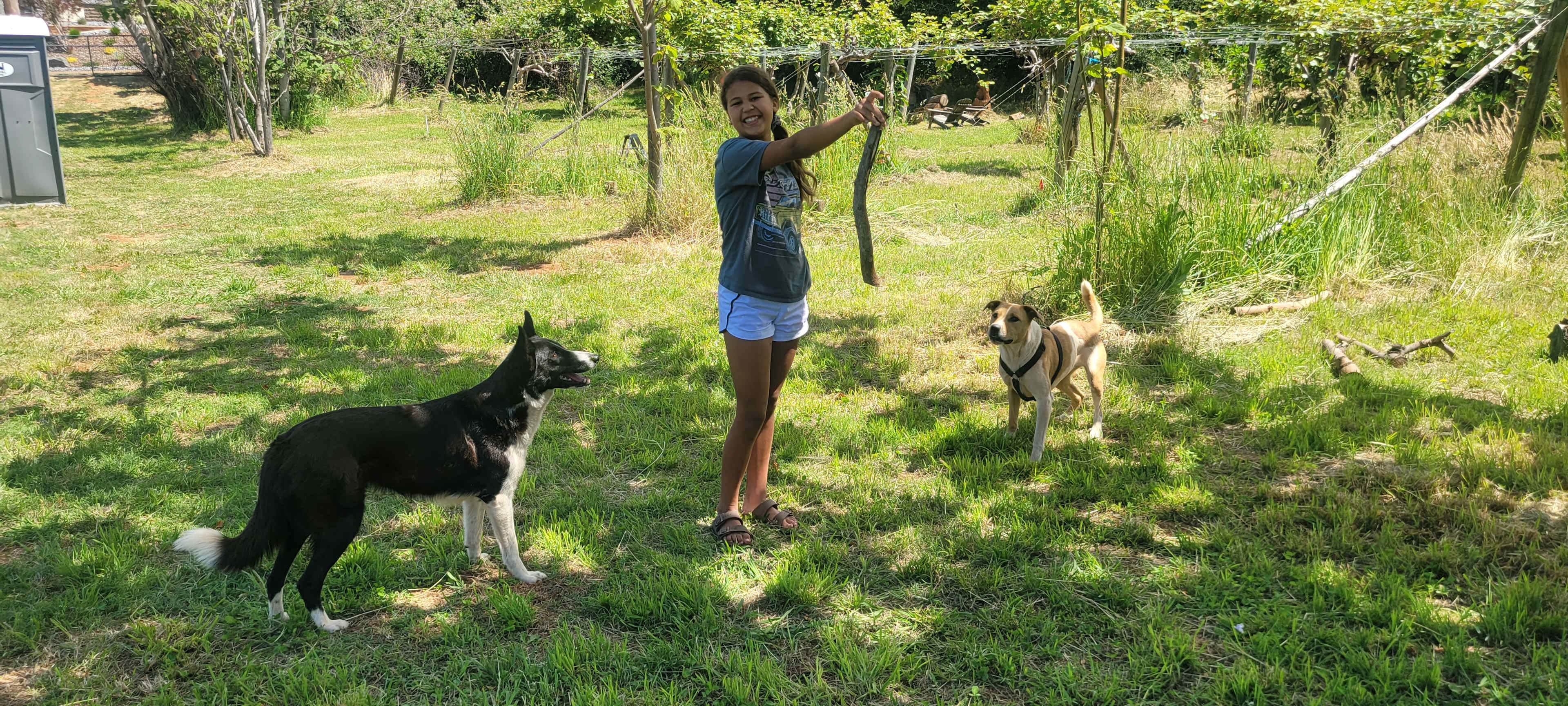 Owners friendly pups