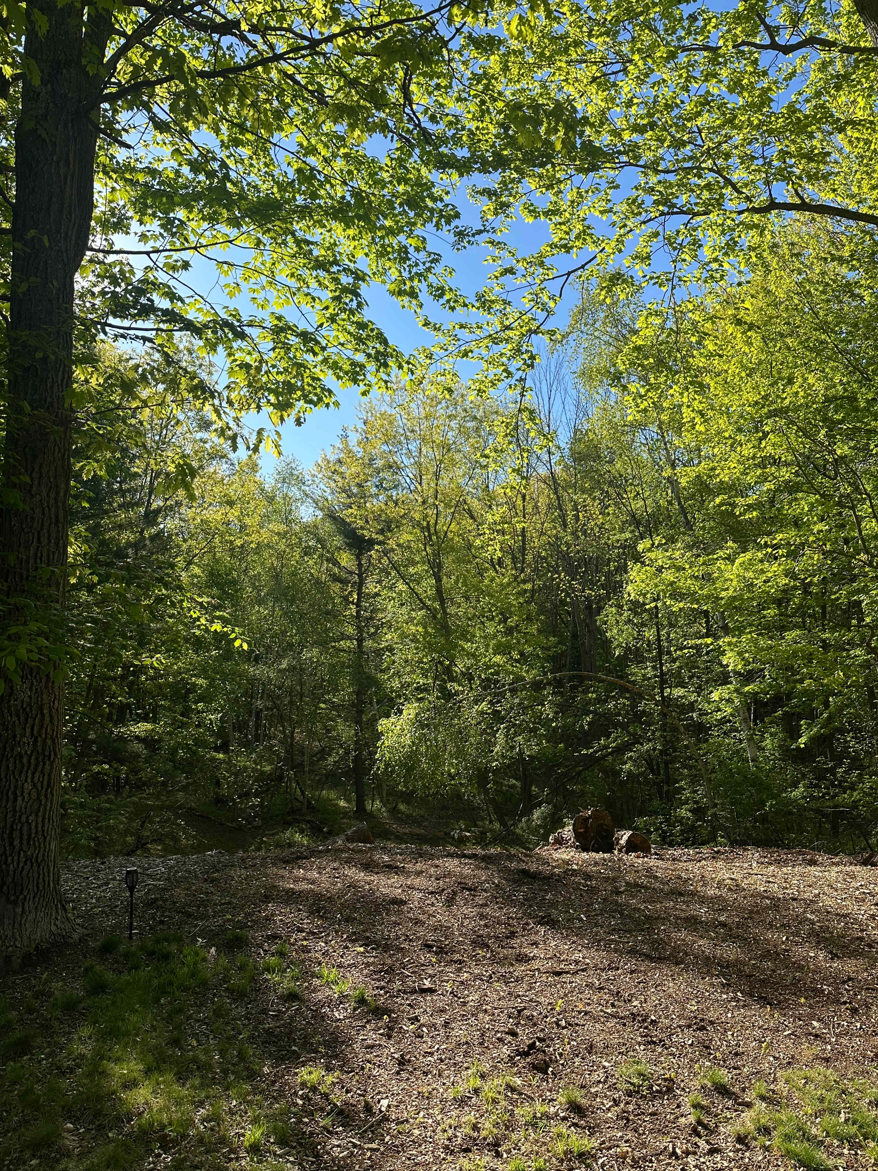 Eden