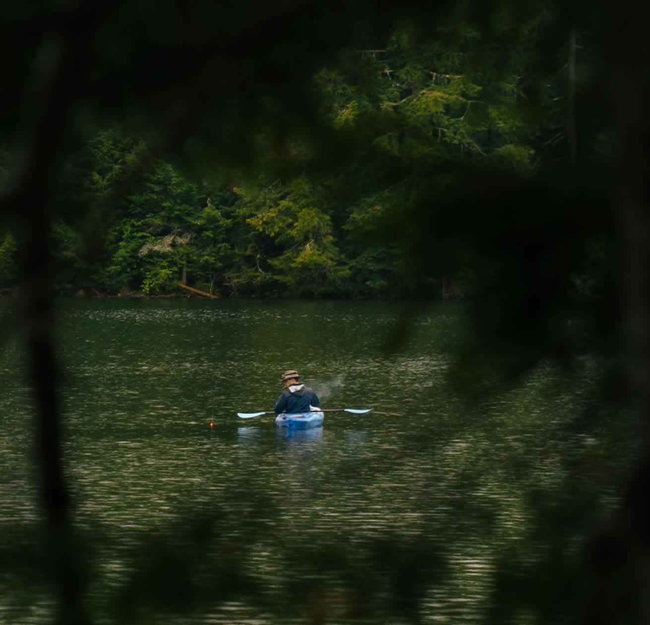 The Alcove at Martin's Pond