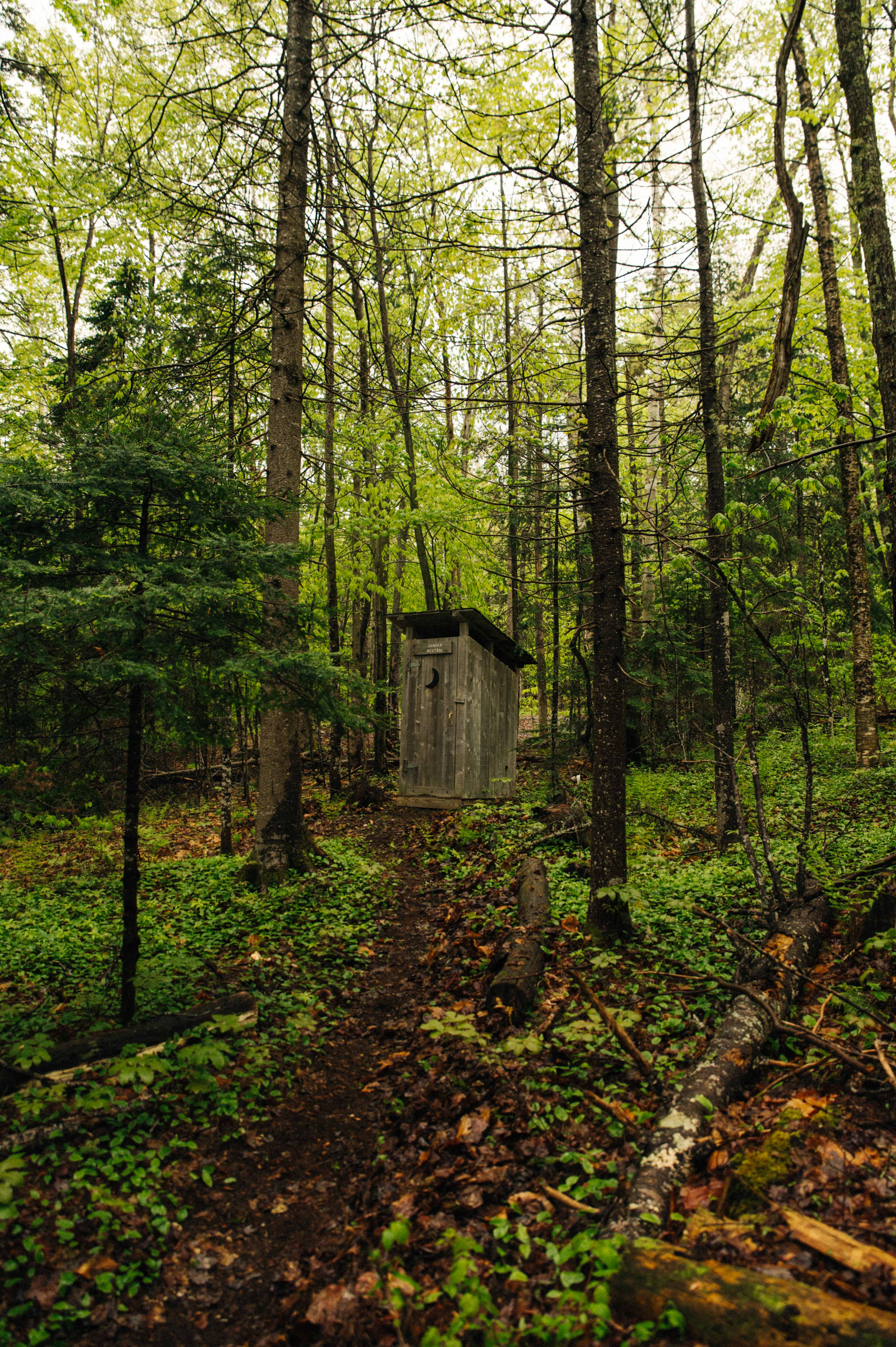 The Alcove at Martin's Pond