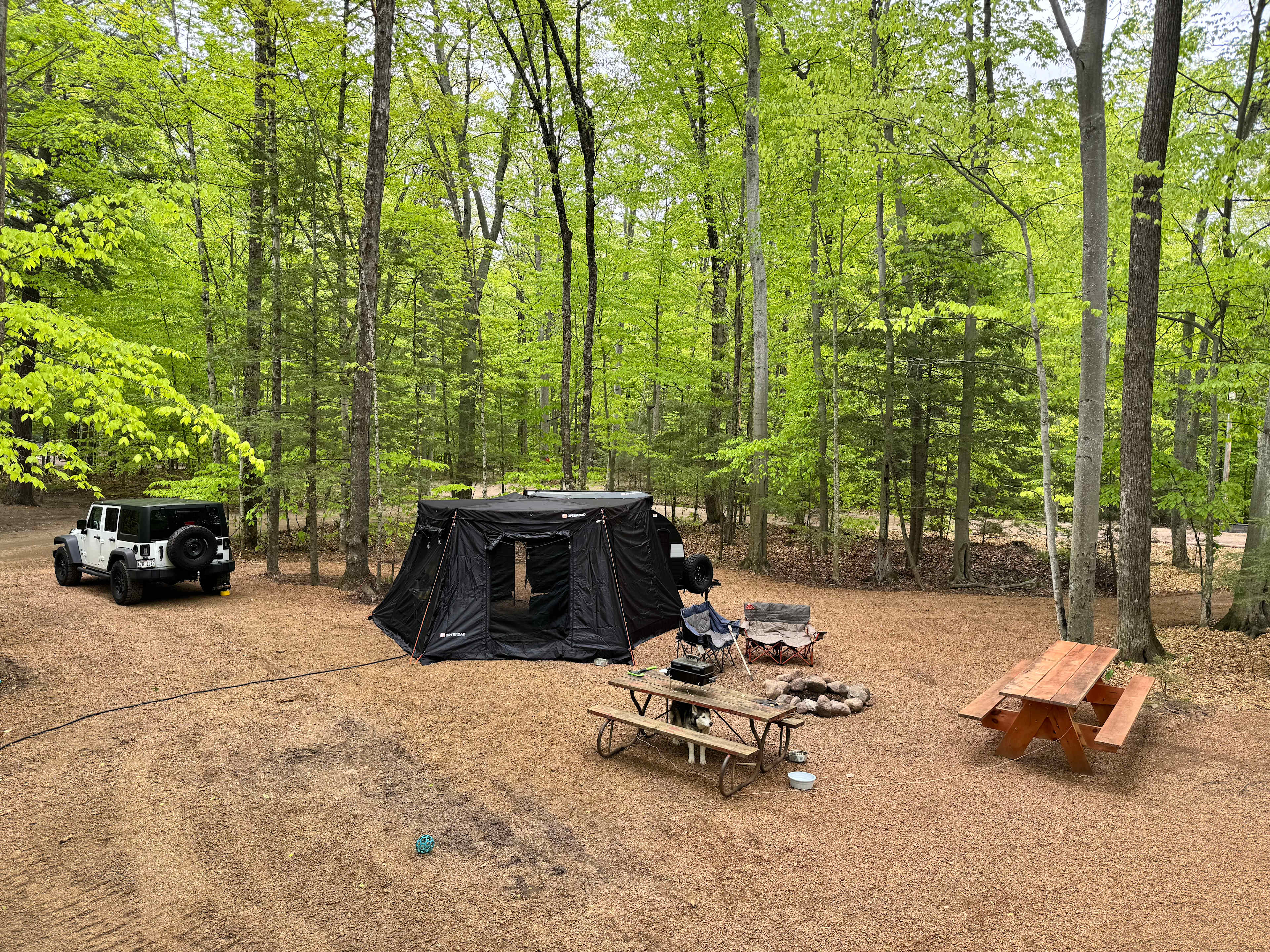 Picture of the site