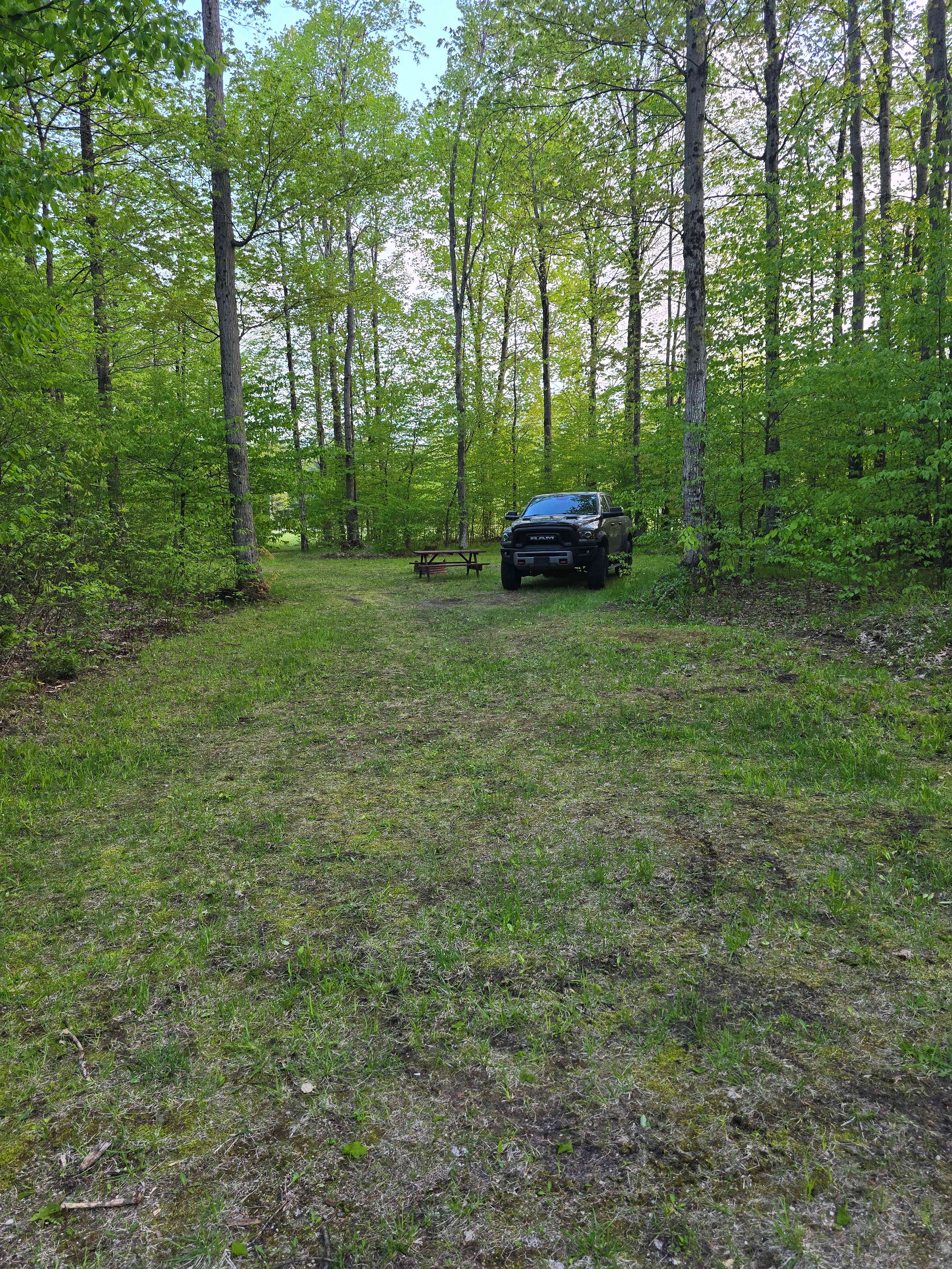 Sportsman's Port Wellston PineRiver