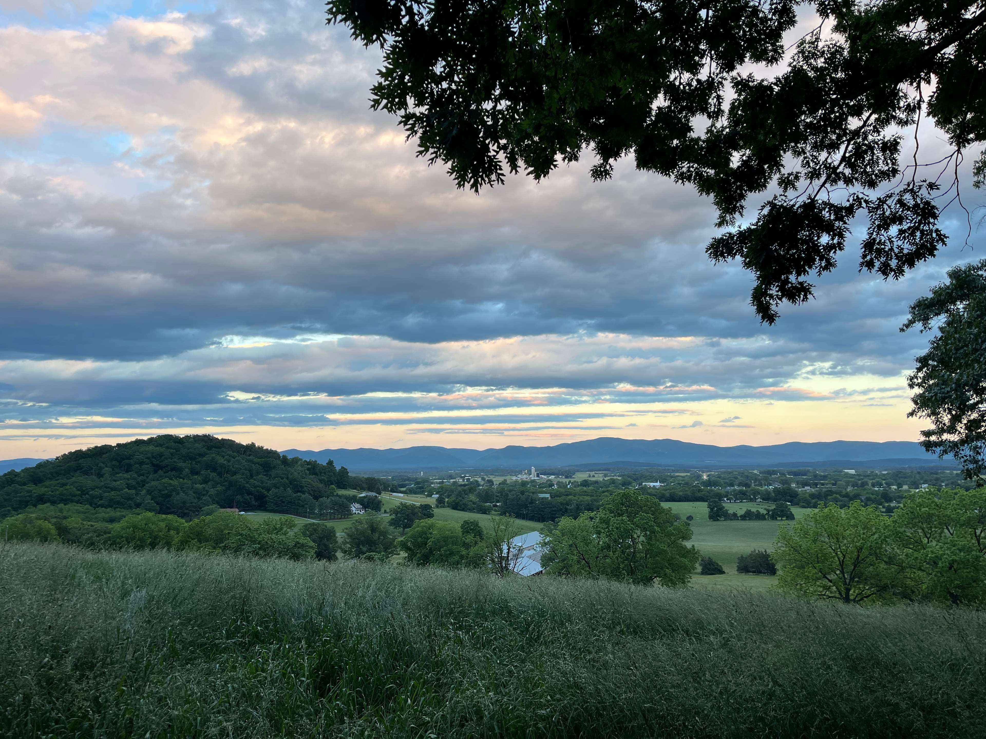 Dices Spring Farm Camp & Views