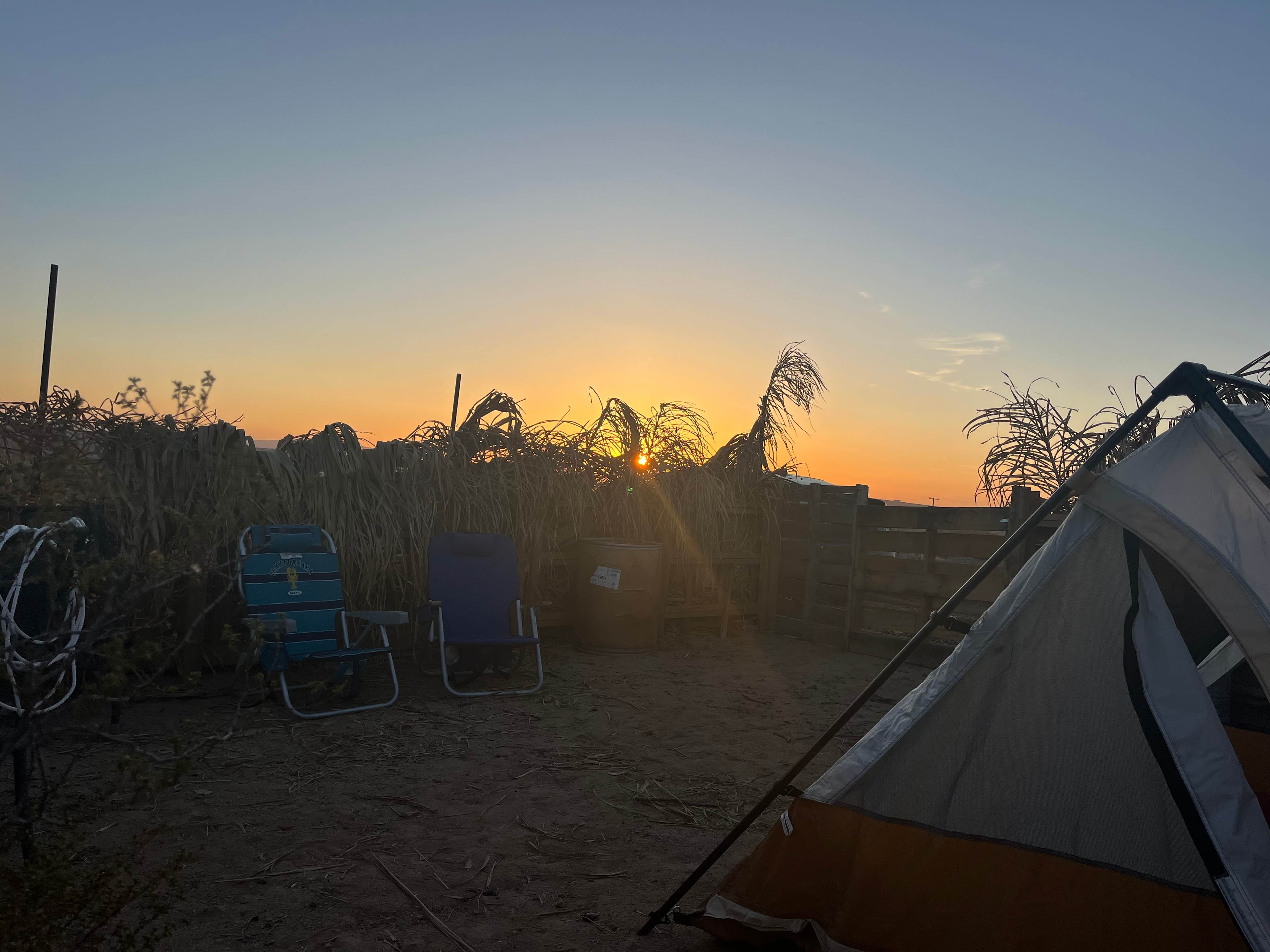 Picture of the site