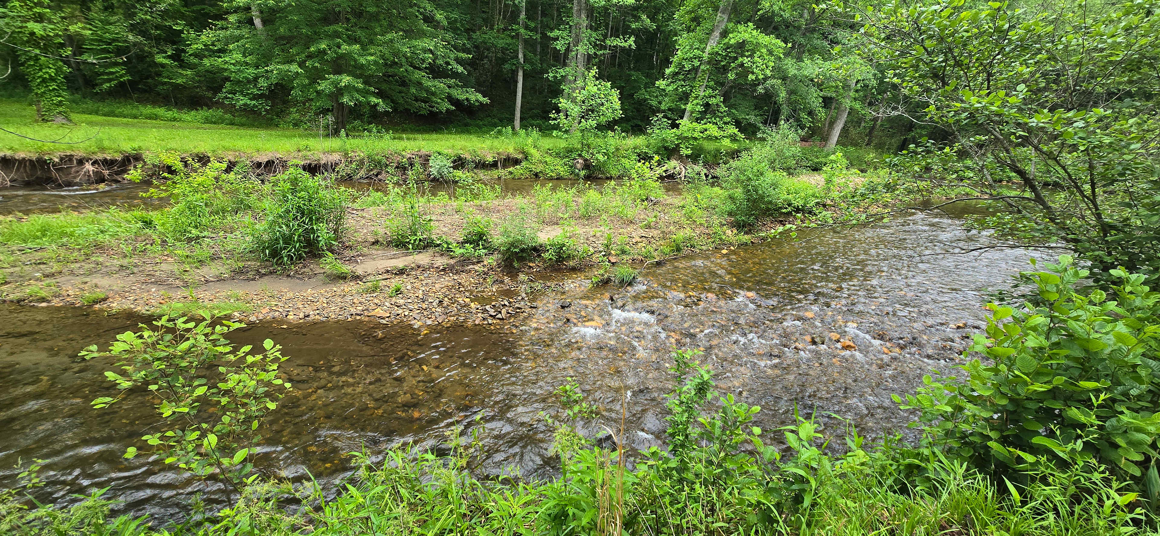 Coweeta Creek Campground
