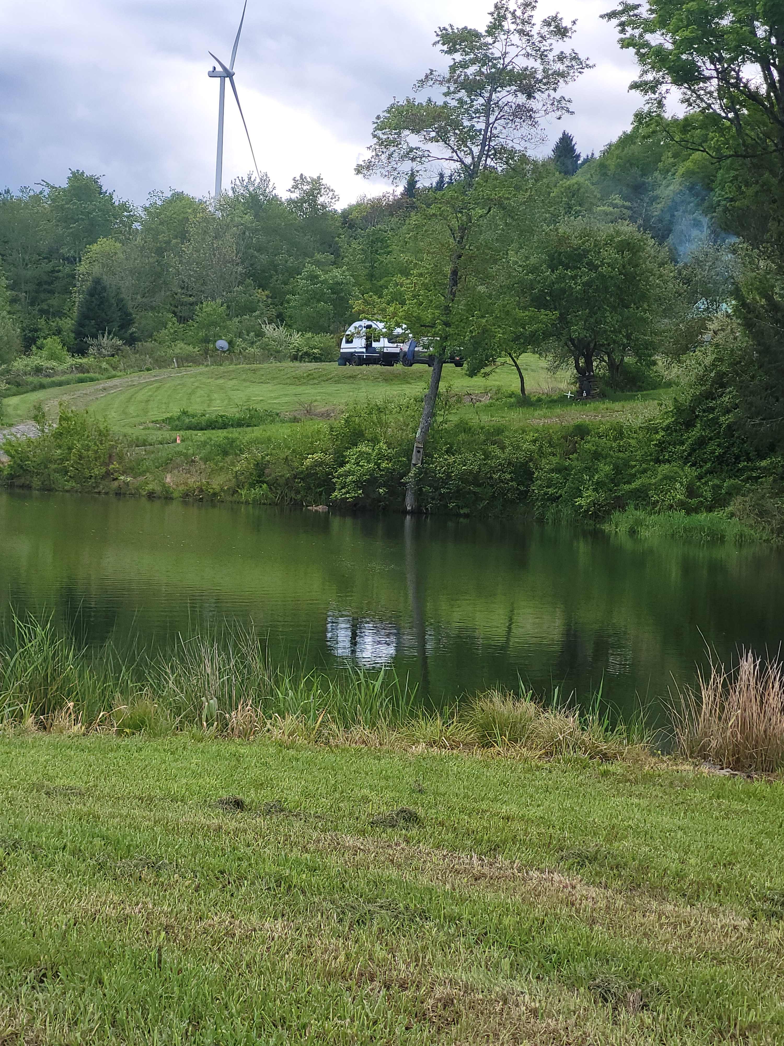 Mountain Hollow Farm and B&B