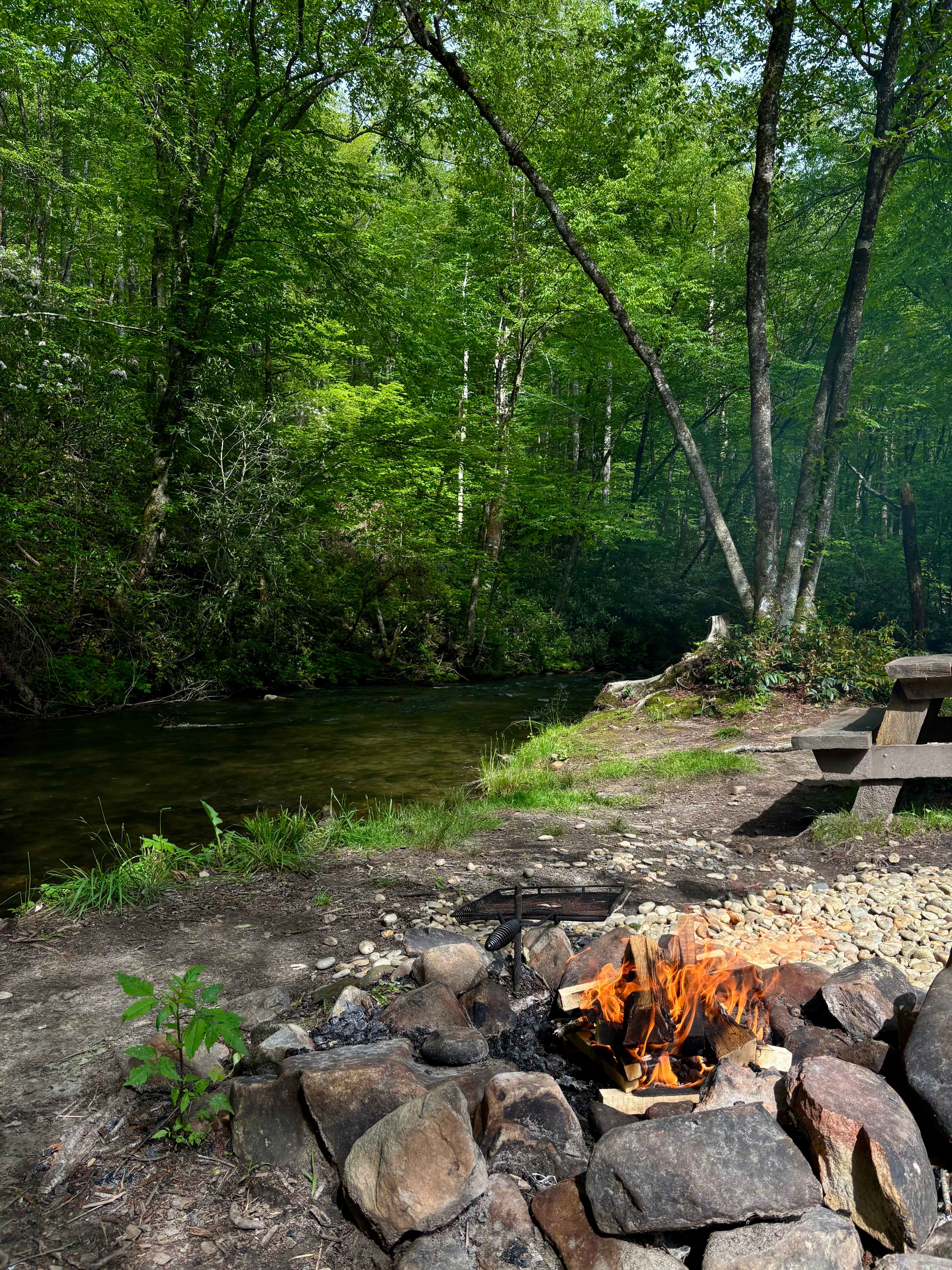 Lil Snowbird Farm Primitive Camping