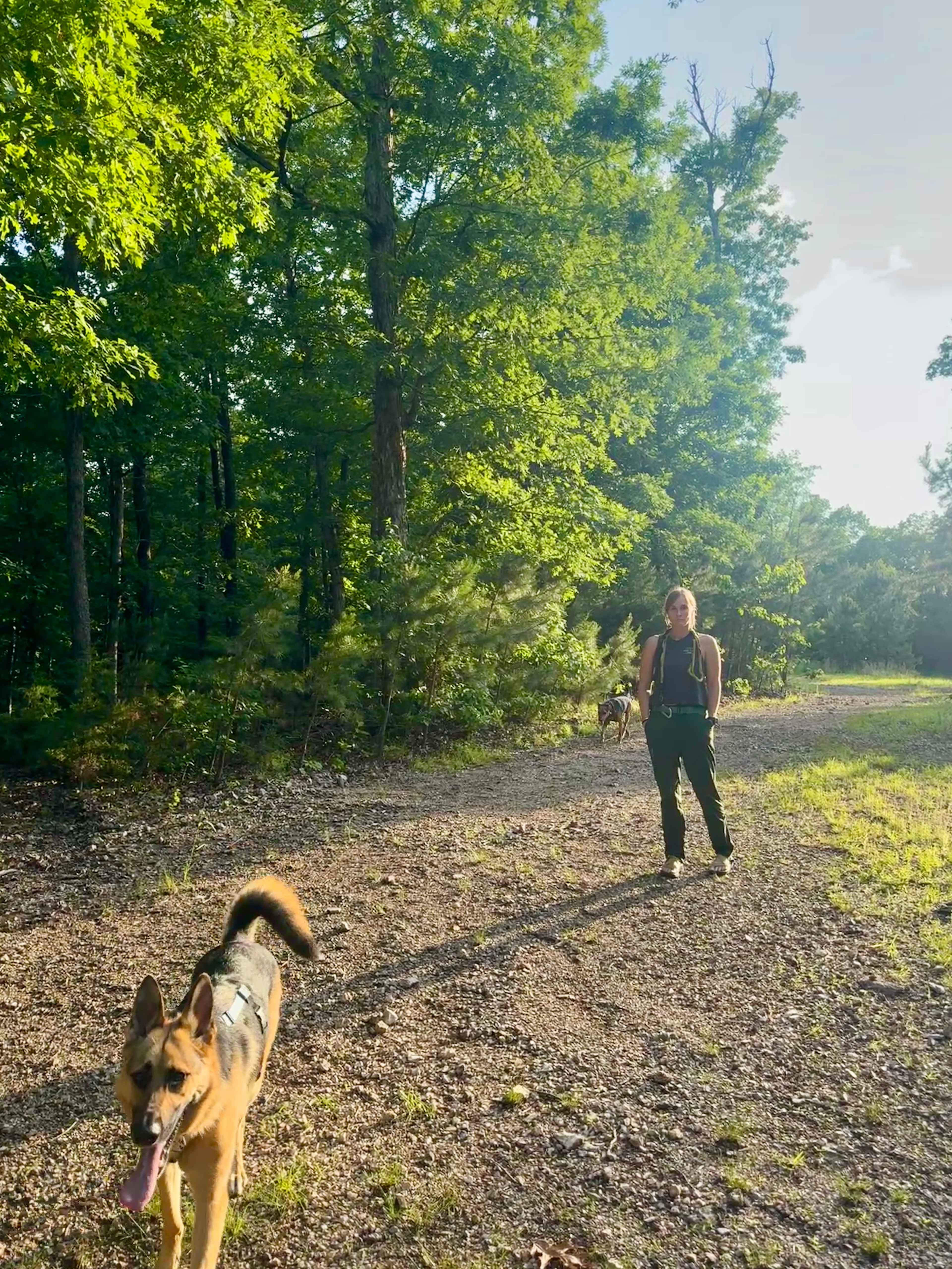 Happy Hippy Acres Wooded Wonderland