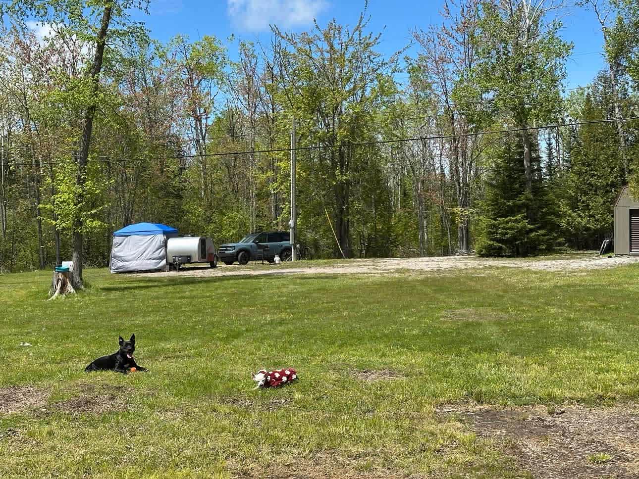 more than ample space for multiple tents 