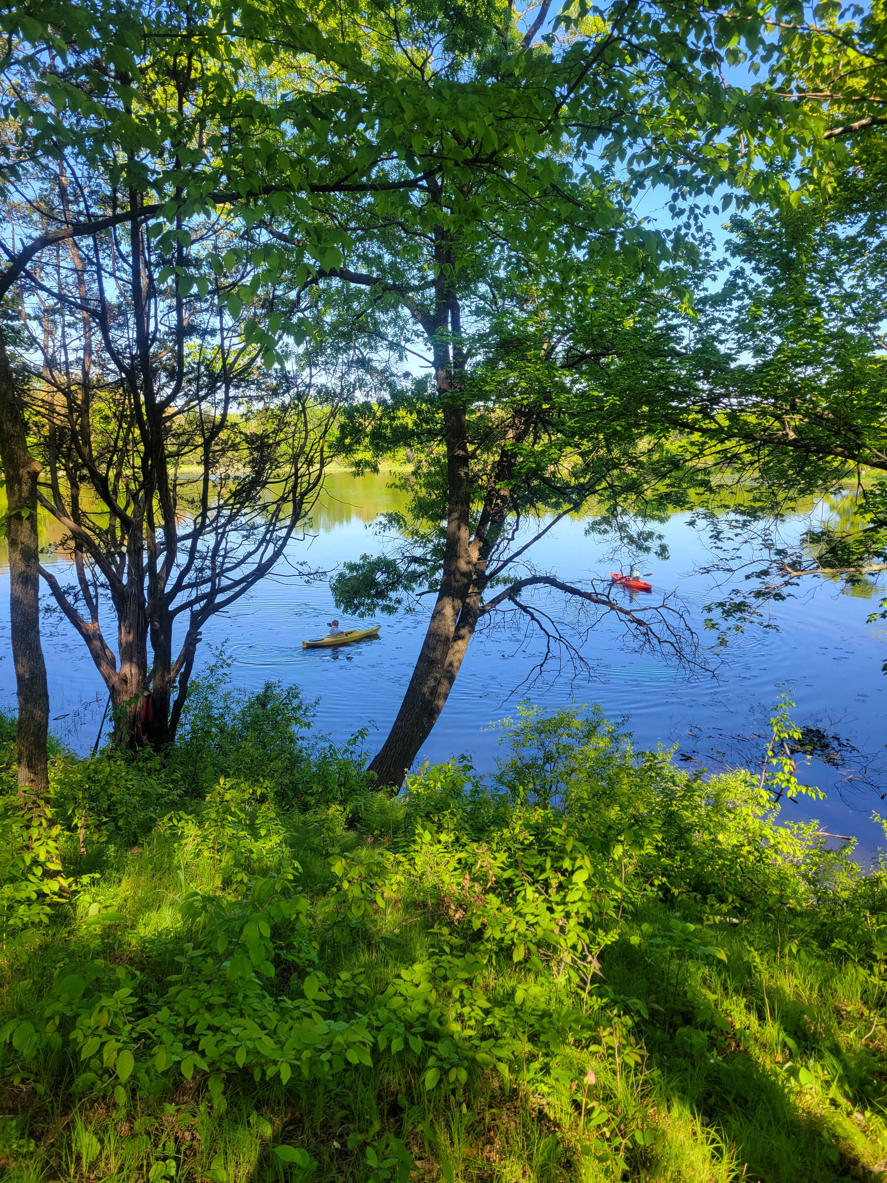 Lake Tommy Homestead